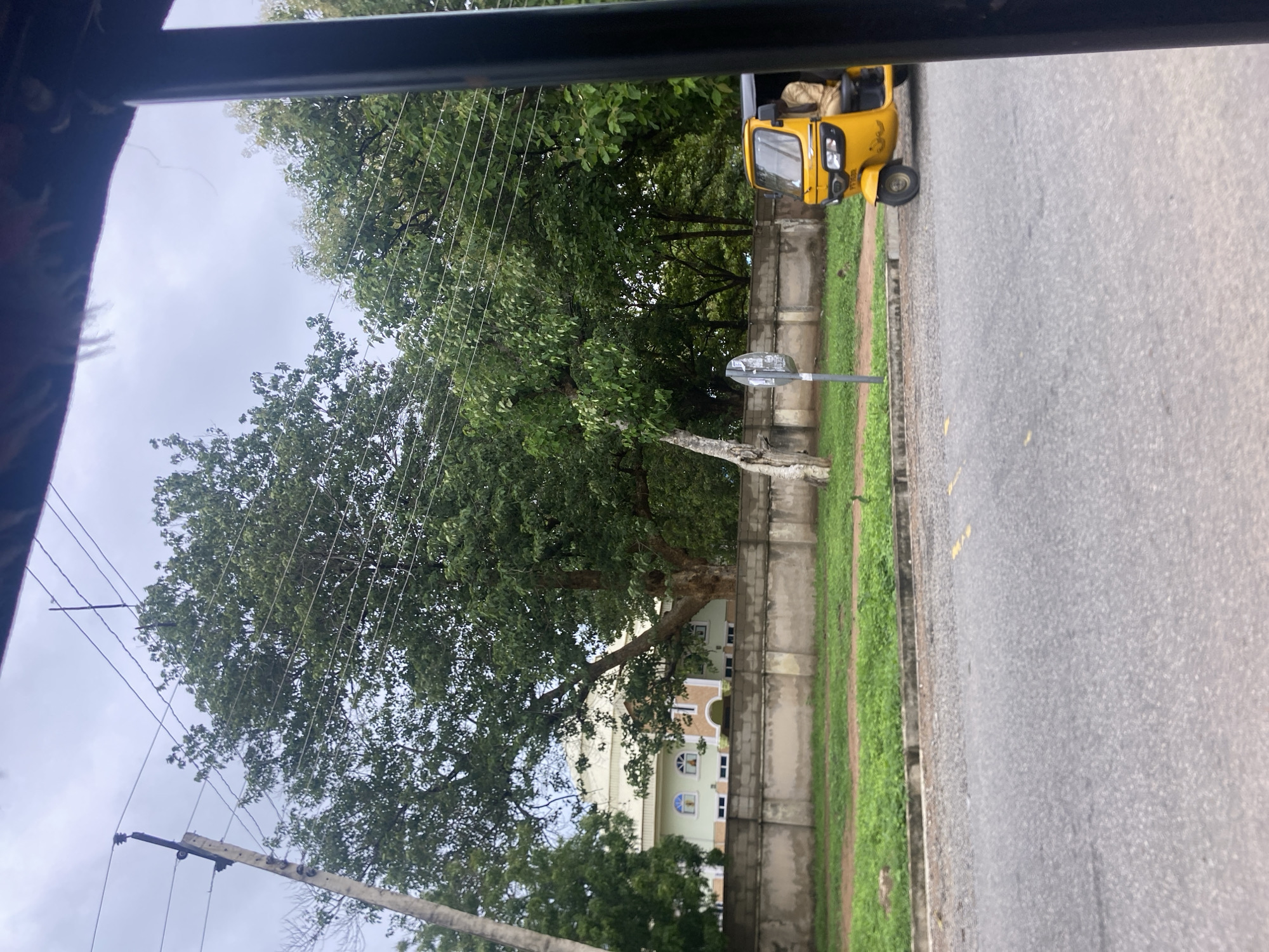 The image captures a street scene in Jalingo, Nigeria, dominated by a large, mature tree with lush green foliage. A gray concrete wall runs horizontally across the mid-ground, separating a grassy area from a building visible behind it. The building appears to be a light-colored structure with arched windows and an ornate entrance. In the foreground, a paved road with yellow markings is visible. To the right of the road, a bright yellow motorized tricycle, often called an "okada" or "tuk-tuk," is parked. A person wearing a light-colored garment is seated in the driver's position of the tricycle. Overhead, power lines are strung between poles, and the sky is overcast with clouds. The perspective suggests the photograph was taken from within a vehicle.