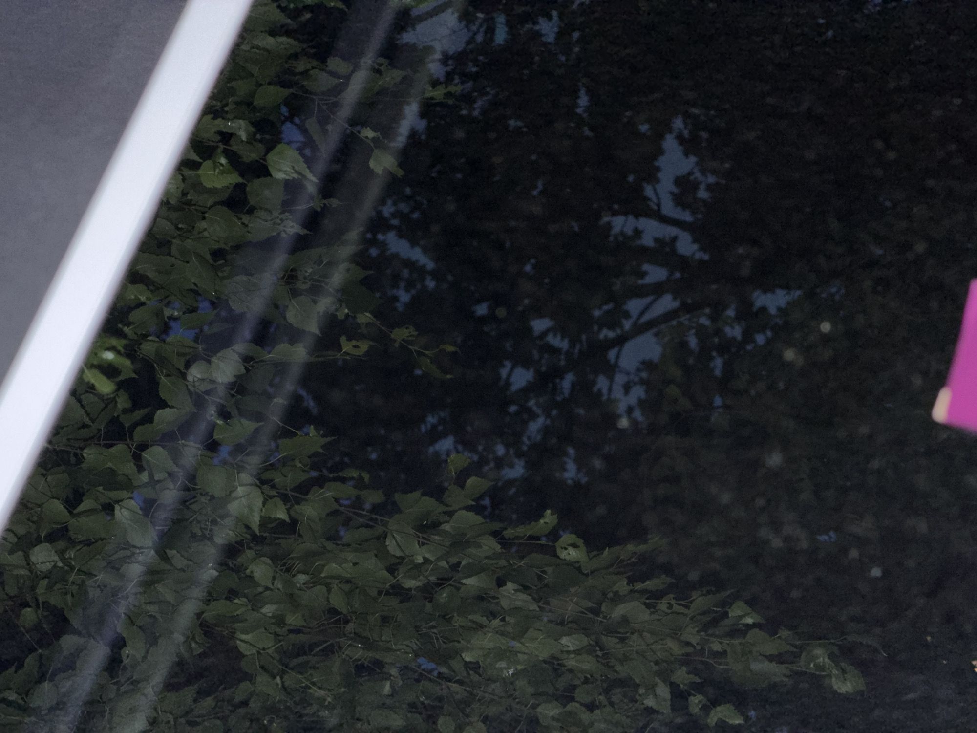 The image shows a reflection of tree leaves and branches against a dark background, possibly the sky at dusk or night. A white element, likely part of a structure or window frame, runs diagonally across the top of the image. In the lower right corner, a small section of a pink object is visible. The scene appears to be outdoors, with the foliage suggesting a natural setting within or near a city.