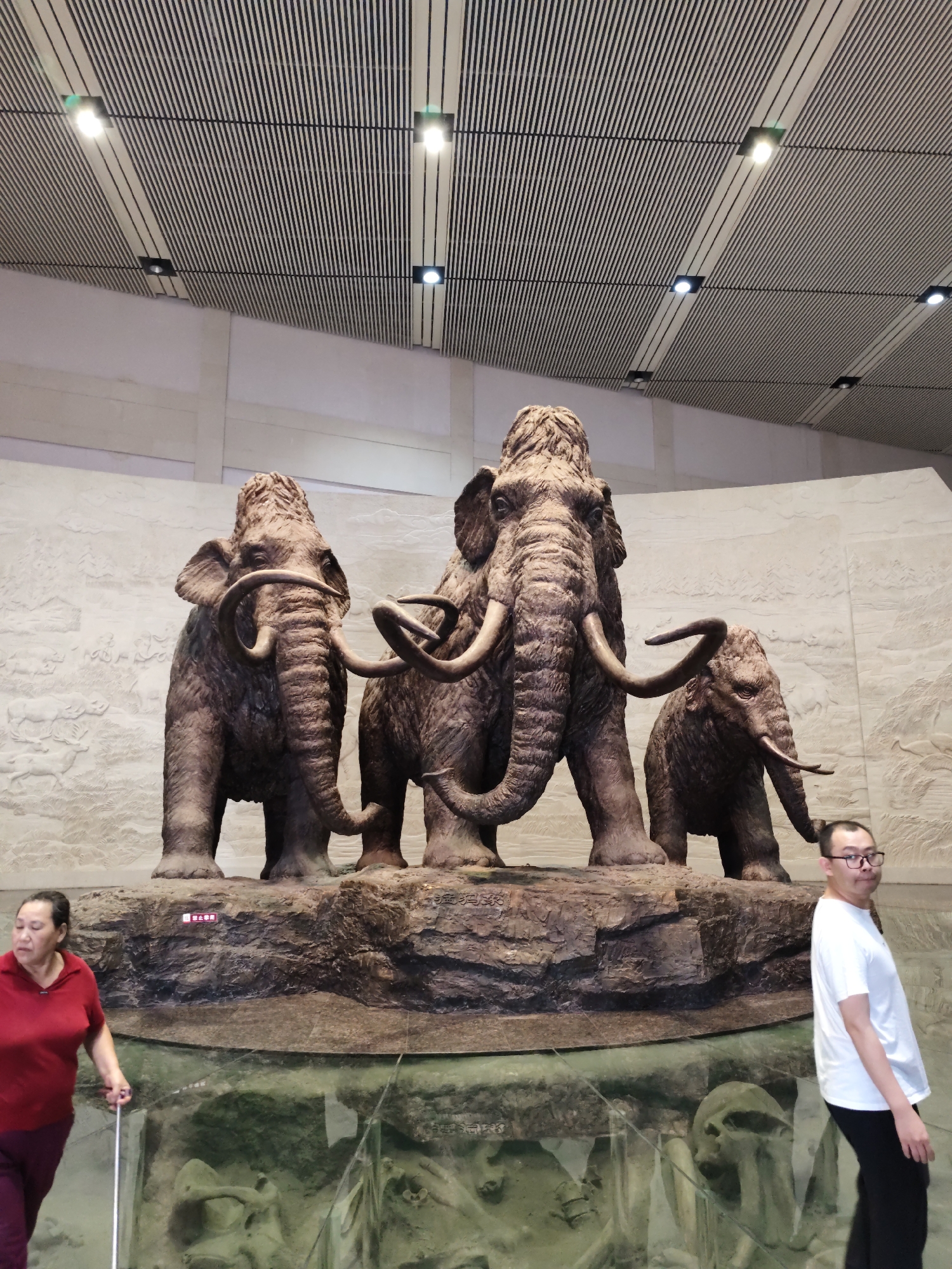 Three mammoth statues are displayed in a museum. The largest mammoth is in the center, with a smaller mammoth to its right and another to its left. The statues are made of a brown, textured material that resembles stone. They stand on a rocky platform that is surrounded by a shallow pool of water. The mammoths' tusks are long and curved. In the background, a textured wall features bas-relief carvings of prehistoric animals.
To the left of the display, a woman wearing a red shirt and dark pants walks with a white cane. To the right, a man wearing a white t-shirt and black pants stands looking at the camera. Reflections of the mammoths and the ceiling lights are visible in the water. The ceiling is paneled with dark stripes and features recessed lighting. The museum is located in the city of Longfeng District, China.
