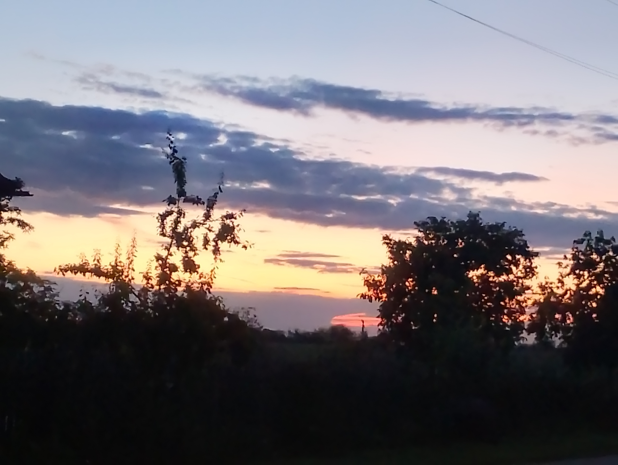 The image depicts a sunset scene with a sky transitioning from light blue at the top to shades of pink, orange, and yellow near the horizon. Wispy clouds are scattered across the sky. In the foreground, silhouettes of trees and foliage are visible, with some branches and leaves partially obscuring the sunset. The lower part of the image is dominated by dark silhouettes, suggesting the presence of dense vegetation or shadows. The overall impression is of a tranquil evening at dusk.