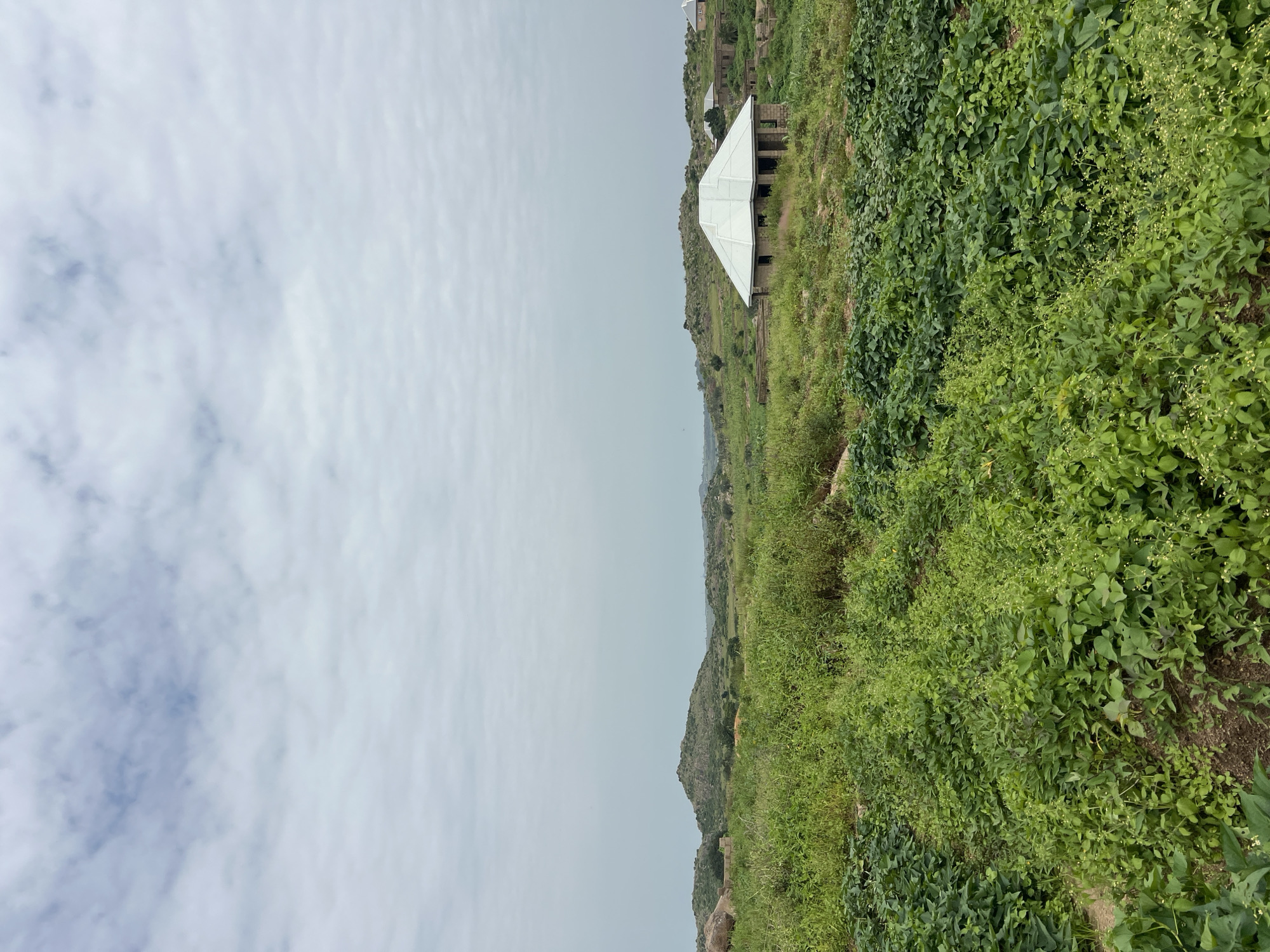 The image depicts a landscape in Dong, Nigeria. In the foreground, lush green vegetation, possibly crops, covers the lower portion of the frame. Further back, a house under construction with a white roof is visible, surrounded by similar vegetation. In the middle ground, rolling hills with rocky outcrops and scattered trees extend towards the horizon. The sky is overcast with a layer of light clouds.