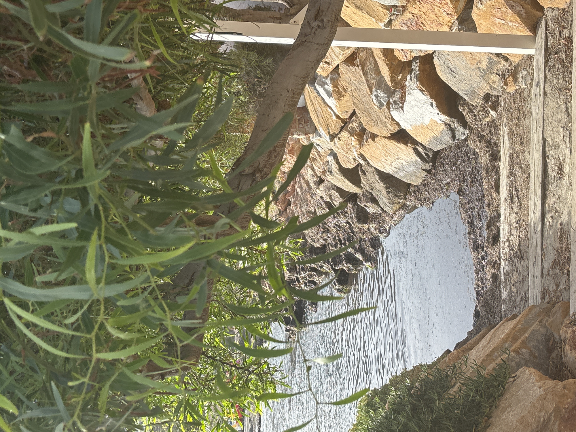 The image depicts a close-up view of a rocky shoreline next to calm water, framed by the branches and leaves of a tree. The water has a rippling surface with reflections of sunlight. Large, irregular rocks of various earthy tones form a barrier along the water's edge, transitioning to a more sloped, sandy area with wooden planks in the foreground. Green vegetation, possibly succulents, grows on the left side of the frame. A white vertical pole is visible on the right side, partially obscured by the rocks and foliage. The overall scene suggests a natural, outdoor environment, likely a waterfront area. There are no people or animals present.