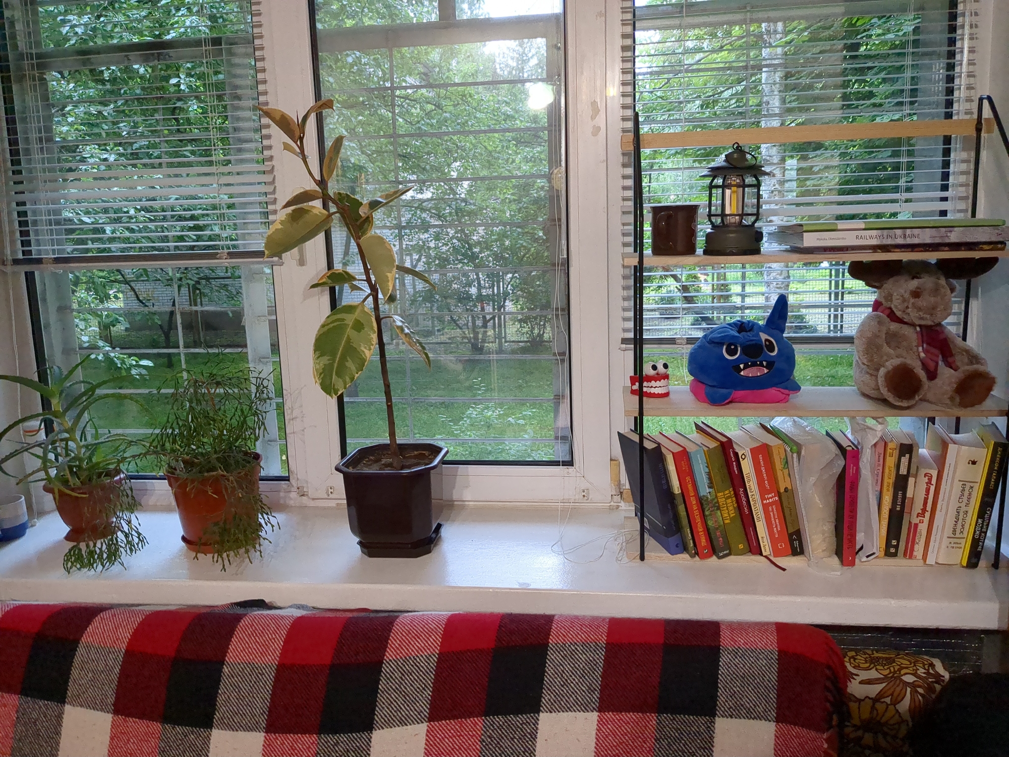 The image depicts an indoor scene, likely a windowsill, with a view of greenery outside. On the windowsill, there are several potted plants, including a ficus with variegated leaves. To the right, a black metal shelf unit holds books, a decorative lantern, a stuffed toy resembling Stitch, and a teddy bear. The environment outside the window suggests a natural setting with trees. A red, black, and white checkered blanket is draped over a surface in the foreground. There is no visual information to indicate the location as Boryspil, Ukraine.