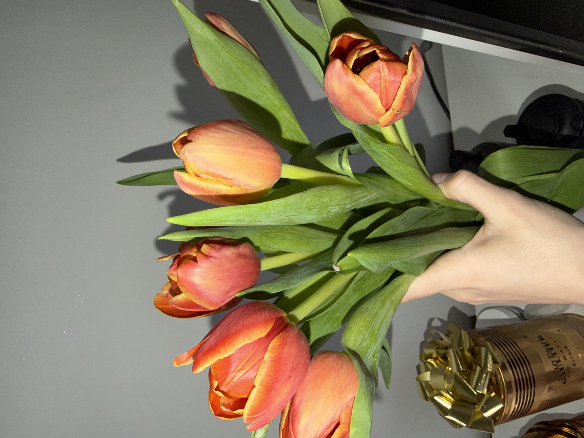 A hand holds a bouquet of orange and red tulips with green stems and leaves. In the background, partially visible, is a golden can of Jean Paul Gaultier ELIXIR perfume and other unidentifiable objects. The environment is indoors with gray surfaces. The image does not show any location and there is no proof that this image was taken in Plovdiv, Bulgaria.