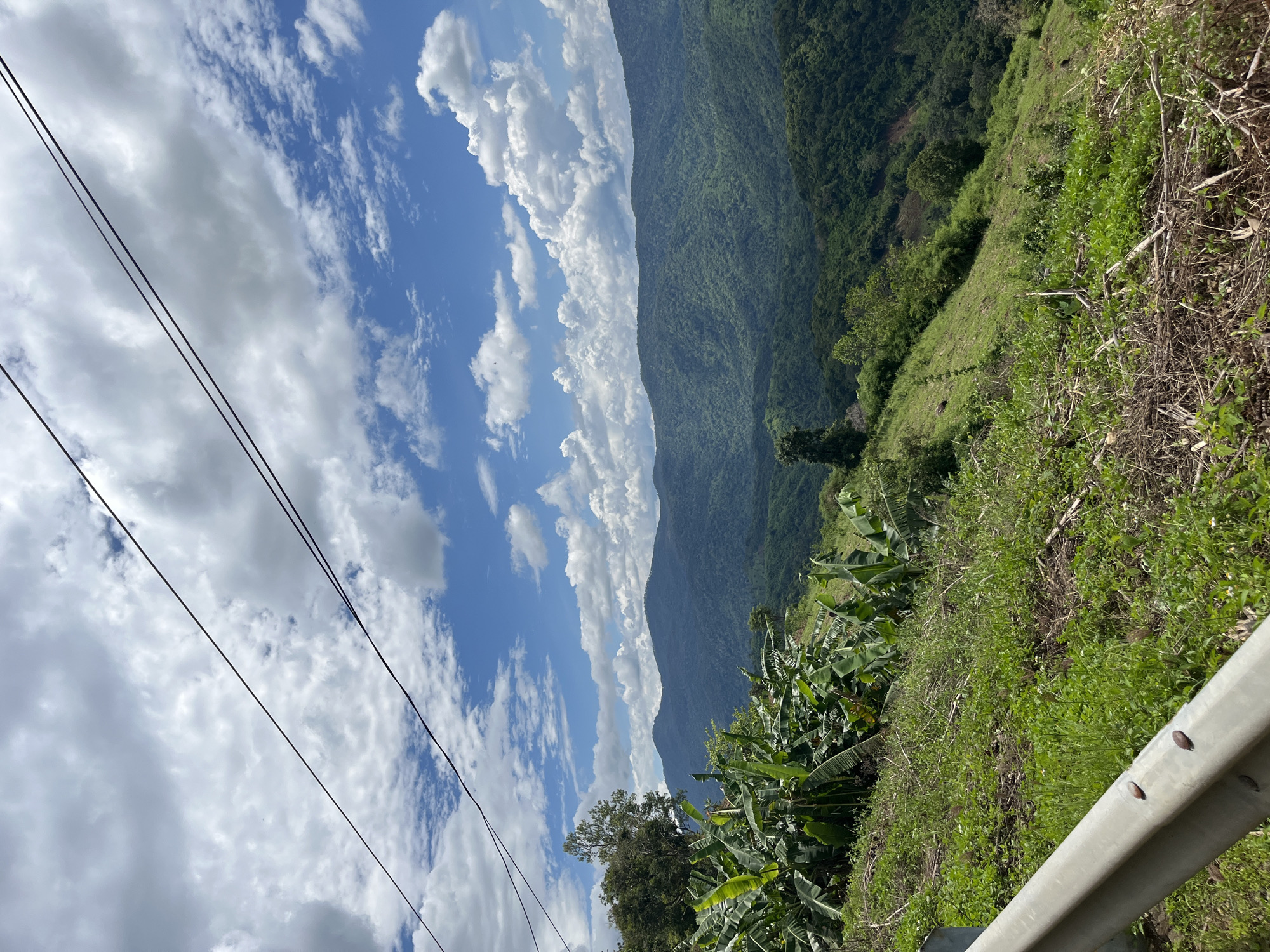 The image captures a scenic view of rolling, verdant mountains under a partly cloudy sky. In the foreground, a grassy slope is visible with some scattered debris and a section of a metal guardrail. A cluster of banana plants with large green leaves occupies the left side of the frame. The background is dominated by layers of lush green mountains receding into the distance. Power lines are strung across the upper portion of the image, crossing against the blue sky and white clouds. The scene appears to be a rural or mountainous area, possibly on the outskirts of a town or city, with the hint of a road or viewpoint indicated by the guardrail. There are no people or animals visible in the frame.