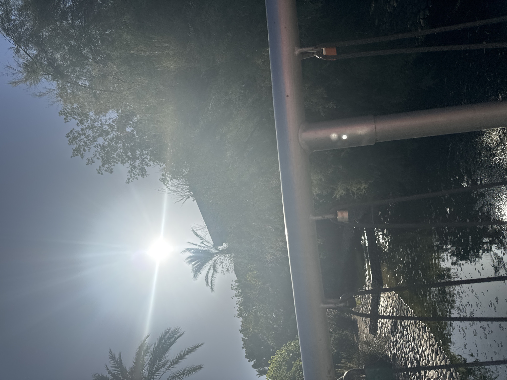 The image depicts a sunny outdoor scene with a foreground railing made of metal. Attached to the railing are several locks, some of which are visible. Beyond the railing, there is a body of water with a cobbled embankment on the left side. The water reflects the sunlight and foliage. Lush greenery and trees, including palm trees, are visible in the background, with the sun prominently shining through the leaves, creating lens flare. The overall impression is of a peaceful, natural setting, possibly a park or garden. The image does not contain enough information to determine the specific location within Murcia, Spain.