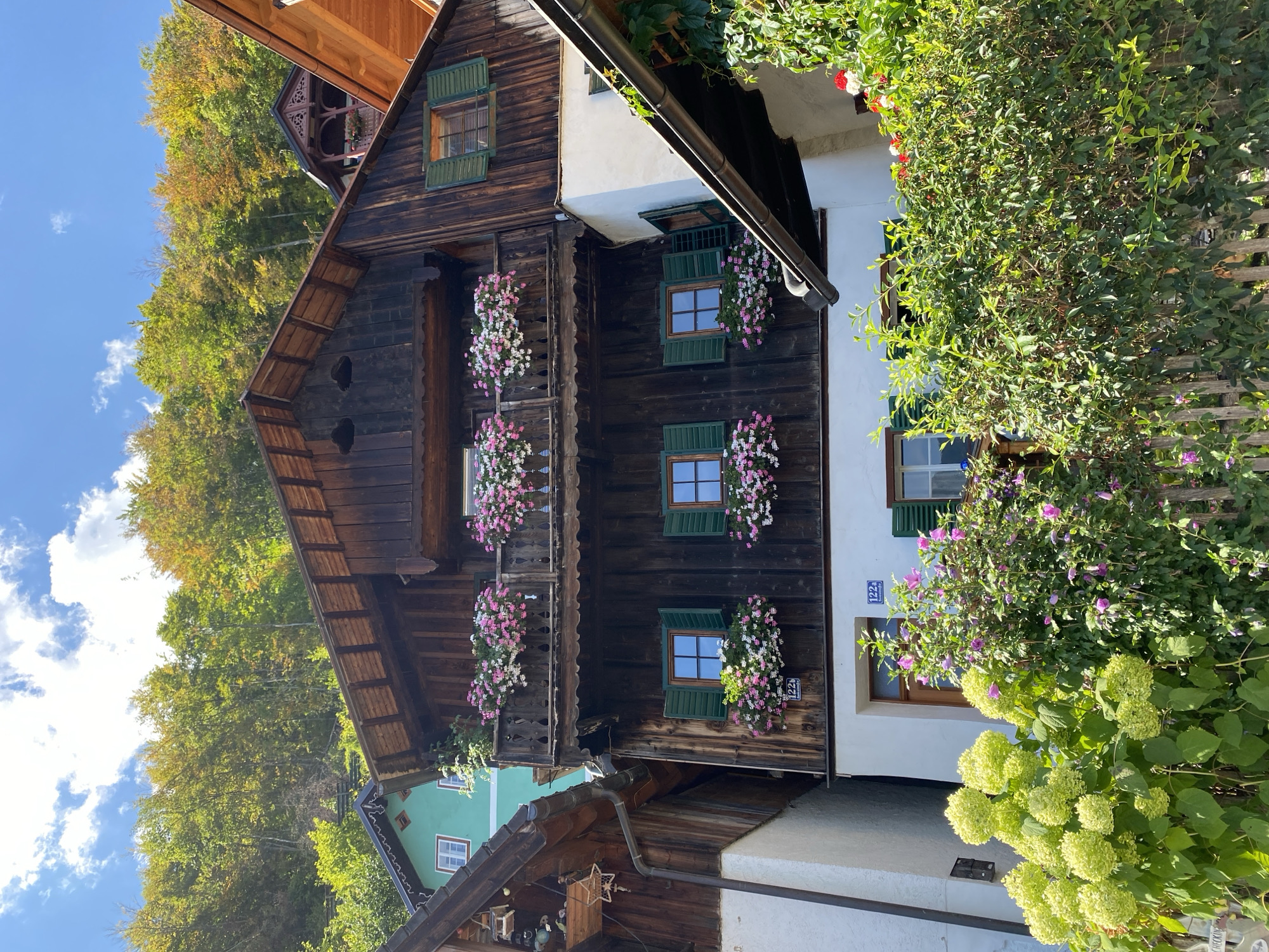 The image depicts a charming multi-story wooden building with a dark, weathered facade, characteristic of the architecture in Hallstatt, Austria. The building is adorned with numerous window boxes overflowing with pink and white flowers, adding vibrant splashes of color against the rustic wood and green shutters. A wooden balcony on the second floor also features similar floral arrangements.
In the foreground, lush green foliage and flowering bushes, including bright lime-green hydrangeas and pinkish-purple flowers, are visible, partially obscuring a weathered wooden fence. The background shows a densely wooded hillside with trees displaying a mix of green and autumn foliage, suggesting the image was taken during the fall season. The sky above is a clear blue with scattered white clouds. The house has a visible address marker, "122a," on its lower level. The overall scene conveys a picturesque and idyllic setting typical of the historic Austrian town of Hallstatt.