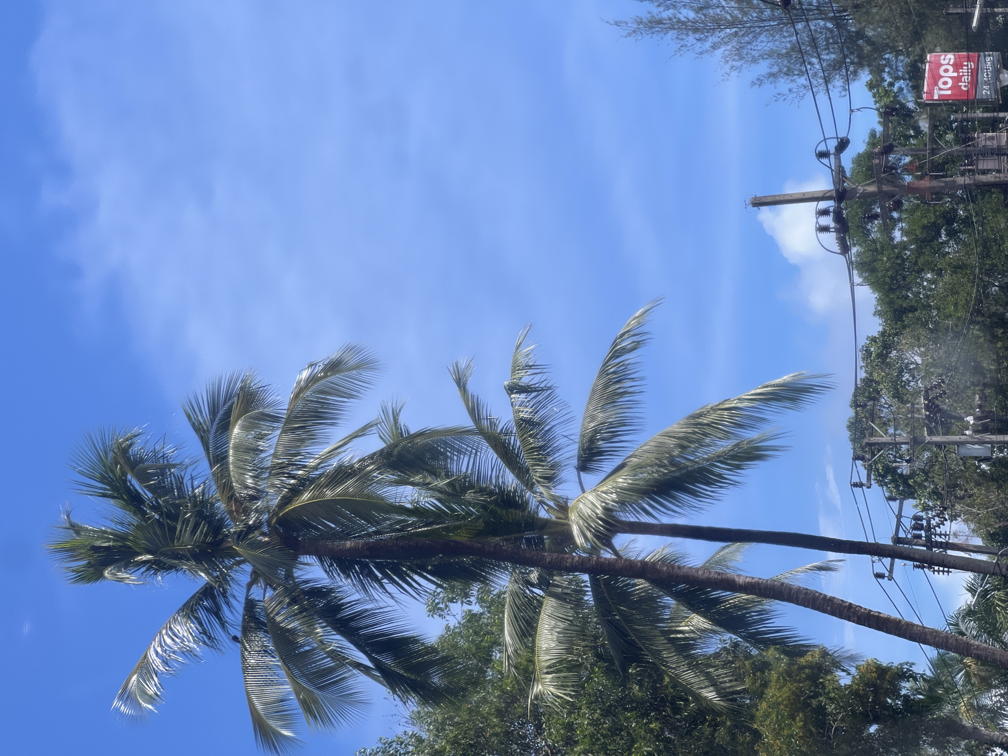An eye-level, medium shot captures a vibrant, clear blue sky with scattered wispy clouds. Two tall palm trees dominate the left side of the frame, their fronds swaying gently. Lush green foliage can be seen behind the palm trees. In the lower right quadrant, a power pole with complex wiring and insulators stands prominently. To the right of the pole, a red sign with white lettering reads "Tops daily" and below that, "24 HOURS." The scene suggests an outdoor, possibly tropical, environment with evidence of urban infrastructure.