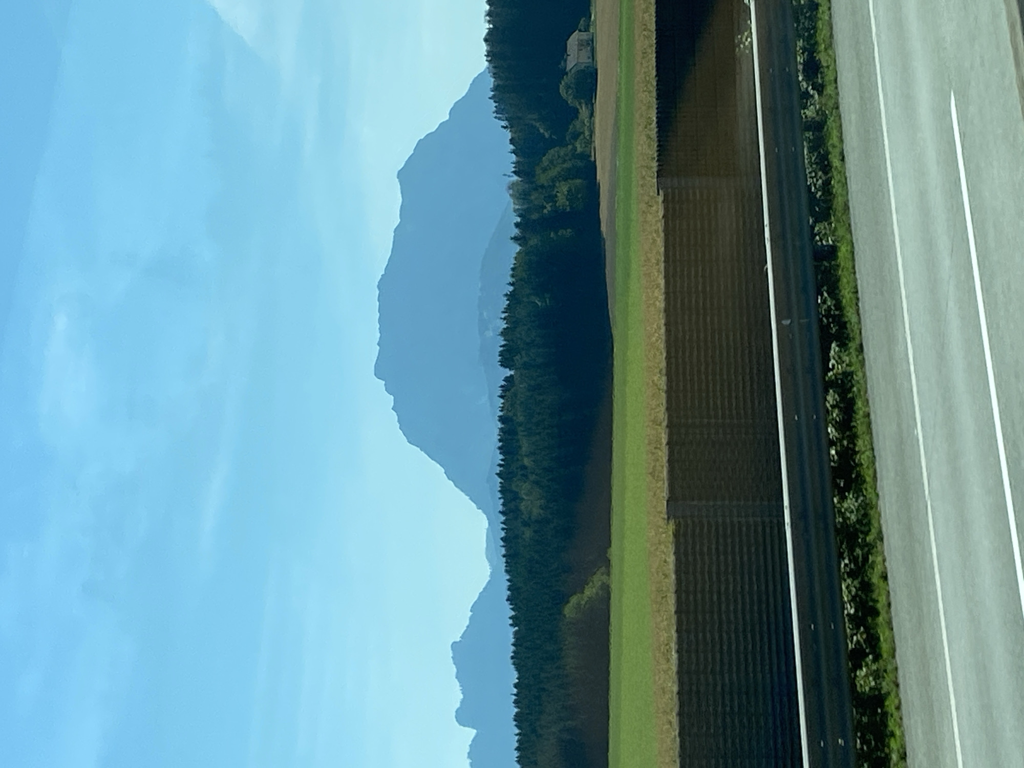 The image shows a landscape scene dominated by a large mountain range in the background, silhouetted against a bright blue sky. In the midground, a dense, dark green forest stretches across the landscape, punctuated by lighter green patches of trees. In front of the forest, a vibrant green field is visible, transitioning to a browner, drier field closer to the foreground. A dark, textured fence or barrier runs horizontally across the mid-lower portion of the image, with a metal guardrail in front of it, separating the fields from what appears to be a highway. A small, light-colored building with a dark roof is nestled amongst the trees on the right side of the midground. There are no people or animals visible in the image. The overall impression is a serene, natural landscape with human infrastructure present in the foreground. The location is identified as Ehrenfeld, Austria.