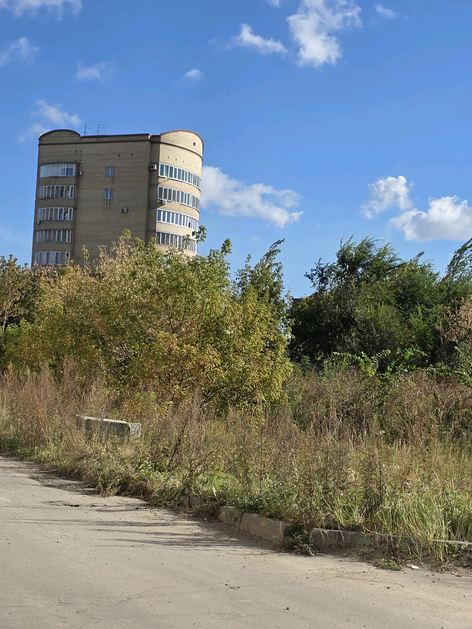 A tall, curved apartment building made of beige brick stands against a bright blue sky with scattered white clouds. The building has numerous windows with white frames, some appearing to be balconies, and air conditioning units are visible on its facade. In front of the building, there is a dense line of trees and overgrown vegetation, with some trees showing autumn colors. The foreground is a cracked asphalt road with a concrete curb and overgrown weeds. The scene appears to be in a suburban or semi-rural area of Chelyabinsk, Russia, possibly depicting an undeveloped plot of land adjacent to a residential area. There are no people visible in the image.