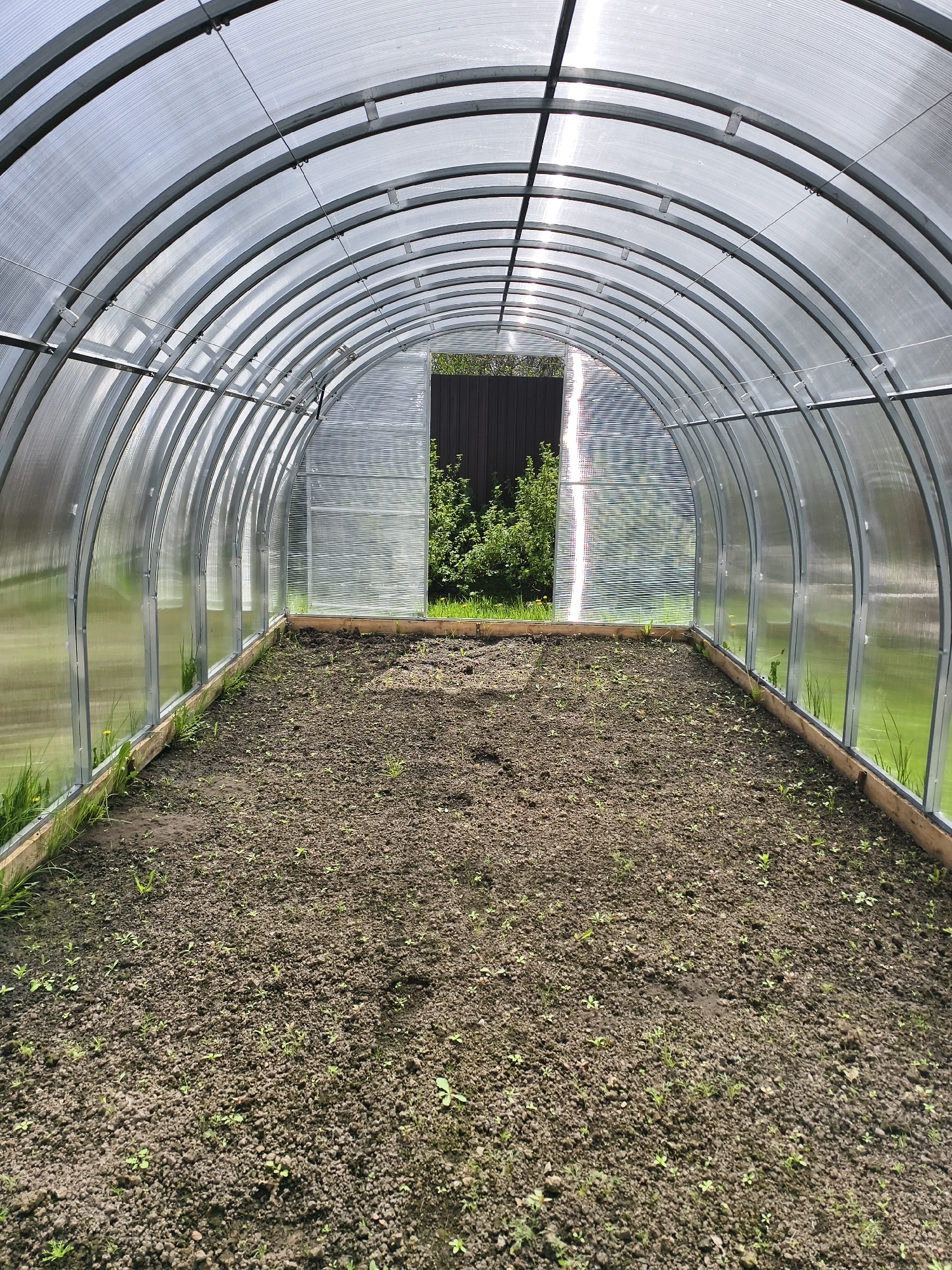 The image shows the interior of a greenhouse located in Абрамово, Russia. The greenhouse has a curved, transparent plastic roof supported by a metal frame. The soil inside the greenhouse appears to be tilled, with some small plants growing. There is a doorway at the far end of the greenhouse, leading to an outdoor area with vegetation and a dark fence. Wooden planks border the sides of the cultivated area inside the greenhouse.