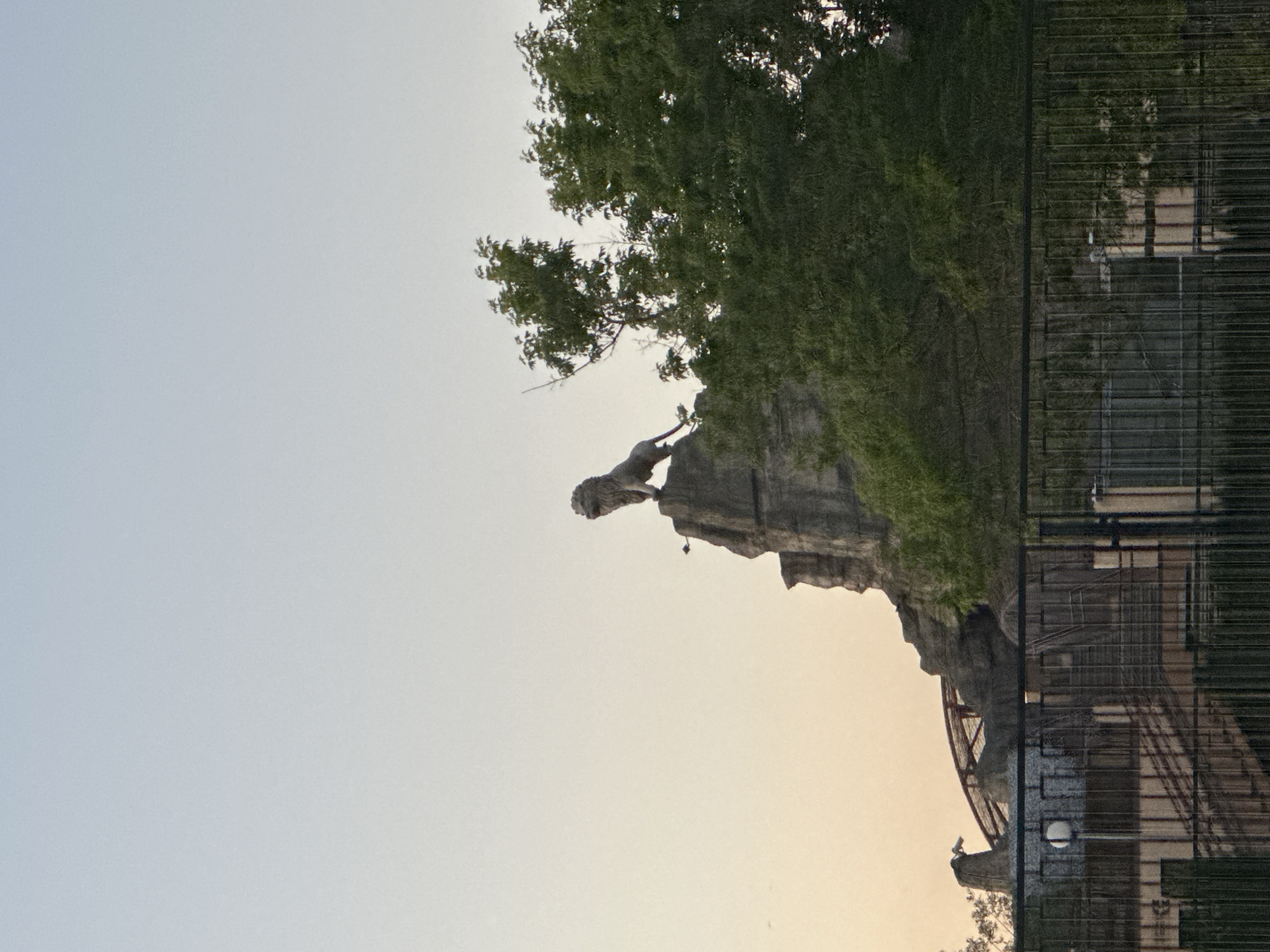 The image shows a statue of a lion on top of a rocky formation. To the right of the rock formation is a large green tree. In the background, a roller coaster structure is visible behind a fence. The sky is clear and pale. The image is taken outdoors, possibly at a zoo or an amusement park.