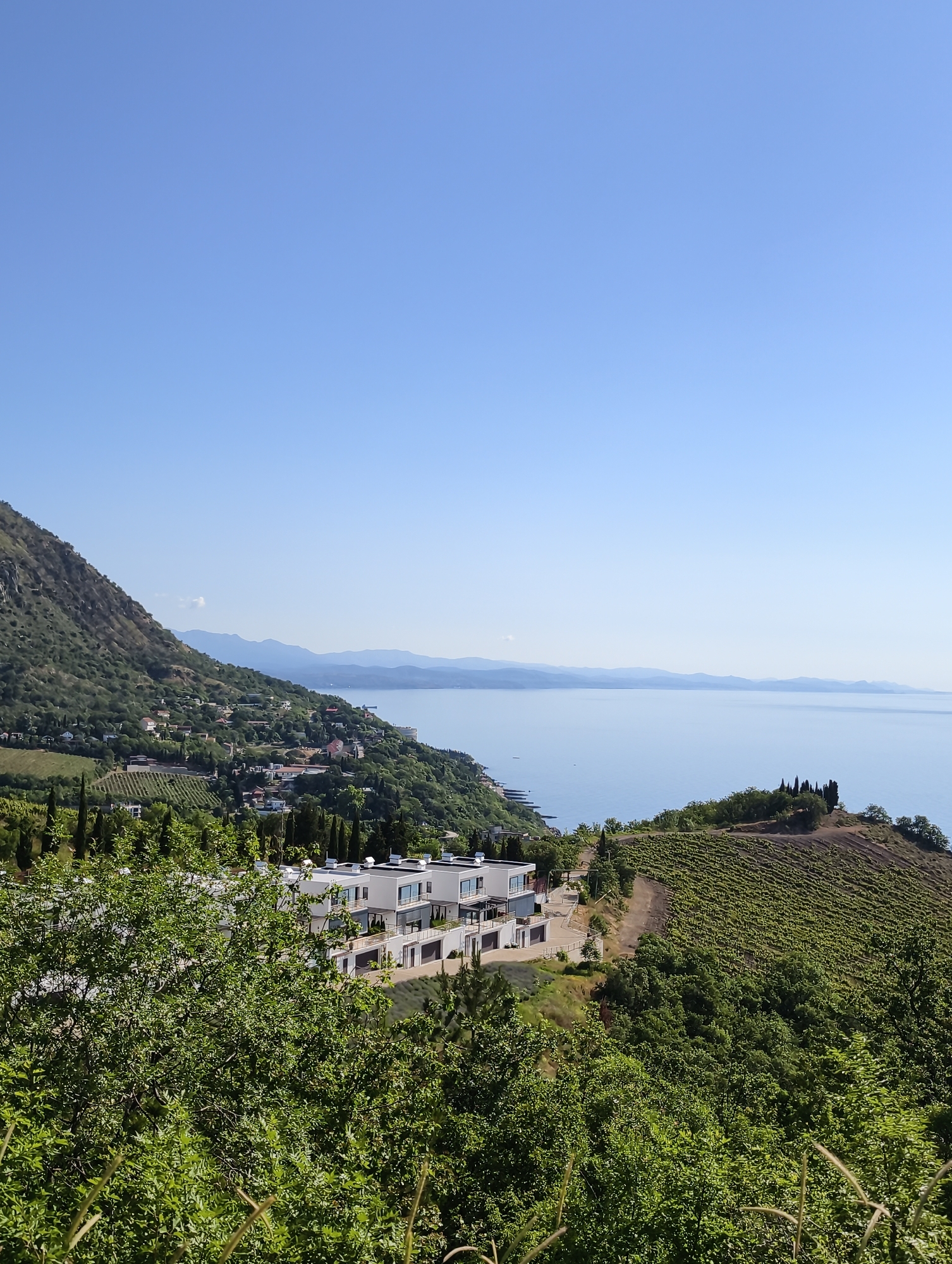 This panoramic image presents a serene coastal landscape near Lazurnoe, Ukraine, under a clear, bright blue sky. A large, verdant mountain, densely covered in trees and vegetation, dominates the left side of the frame, gradually descending towards the calm, expansive blue sea. In the distance, layers of mountains can be seen stretching along the coastline, fading into the horizon.
Nestled into the lush green hillsides are several modern, white multi-story buildings with balconies and large windows, prominently featured in the lower-middle ground. These structures appear to be contemporary residences or resorts. Further along the mountain slope to the left, smaller, more traditional houses are visible amidst the trees.
The landscape is rich with greenery, including dense forests, bushes, and extensive terraced vineyards or cultivated fields that contour the hills, particularly on the right side of the image. Tall, slender cypress-like trees are scattered across the terrain, adding vertical elements to the scene. The tranquil sea surface reflects the sky, appearing smooth and almost mirror-like, with only a small, distant boat breaking its expanse.
The time of day is clearly daytime, with bright sunlight and no visible clouds, suggesting pleasant weather. There are no people visible, and no specific activity is taking place, lending a sense of peaceful solitude to the picturesque natural and built environment. No visible text is present in the image.
