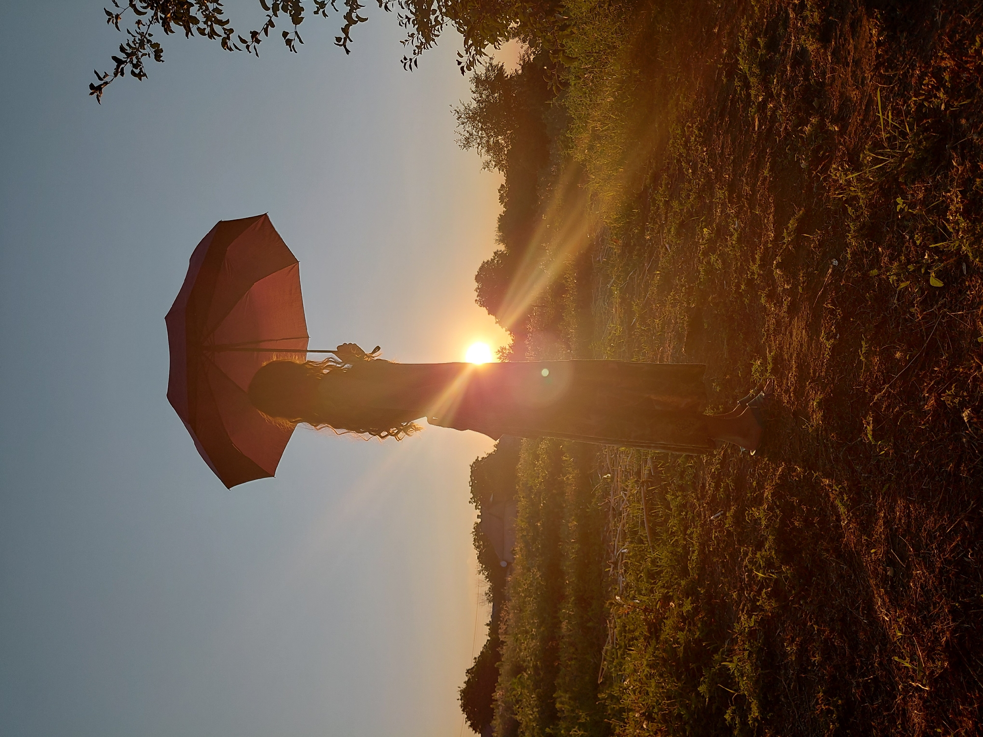 A full shot captures a person standing in a field at sunset, holding an umbrella. The person, silhouetted against the setting sun, wears a long dress. Their curly hair is visible, and they are holding a dark red umbrella above their head. The sun, a bright orb with visible rays, is low on the horizon, casting a warm glow over the scene. The field is covered in grass and some scattered debris. In the background, trees and distant buildings are visible, also silhouetted by the sunset. A tree branch with leaves hangs from the right side of the frame. The sky is a clear gradient of pale blue and orange.