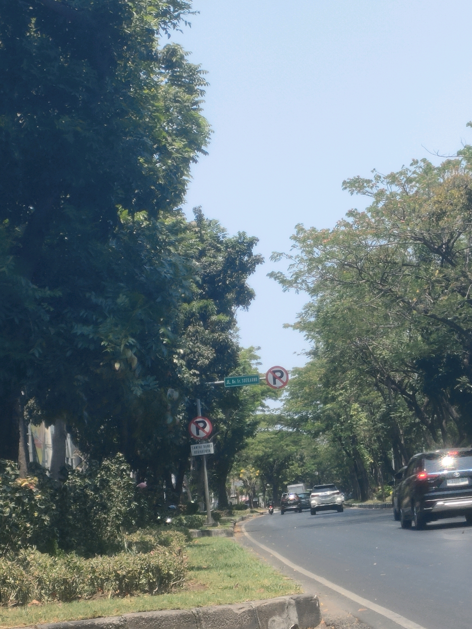 A street view captured in Surabaya, Indonesia, features a tree-lined road with moderate traffic under a clear, bright sky. The road curves gently to the left, with lush green trees forming a canopy on both sides. Several cars are visible on the road, including a dark SUV in the foreground on the right, a silver SUV further ahead, and other vehicles. Traffic signs are present, including a "no parking" sign with a red circle and diagonal line over a "P", and another sign with Indonesian text that translates to "until the next sign". The immediate left side of the road has a grassy area with manicured bushes and a concrete curb. The overall atmosphere is that of a sunny day in a well-maintained urban environment.