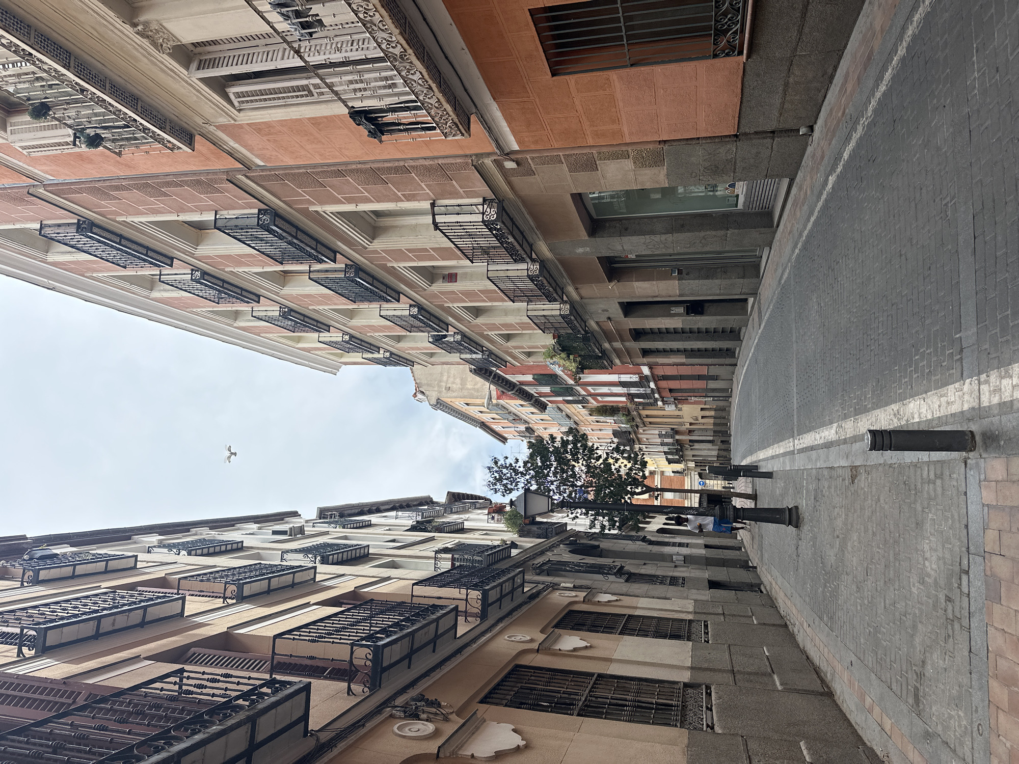 The image depicts a narrow street in Madrid, Spain, lined with tall, multi-story buildings on either side. The buildings feature ornate wrought-iron balconies and windows with shutters. The street is paved with cobblestones, and there are several dark bollards along the sidewalk. A single streetlamp stands on the left side of the street. A lone person, wearing a white t-shirt and blue shorts, walks down the sidewalk on the left. In the sky, a bird is captured in flight. The architecture suggests a historic district within the city.
