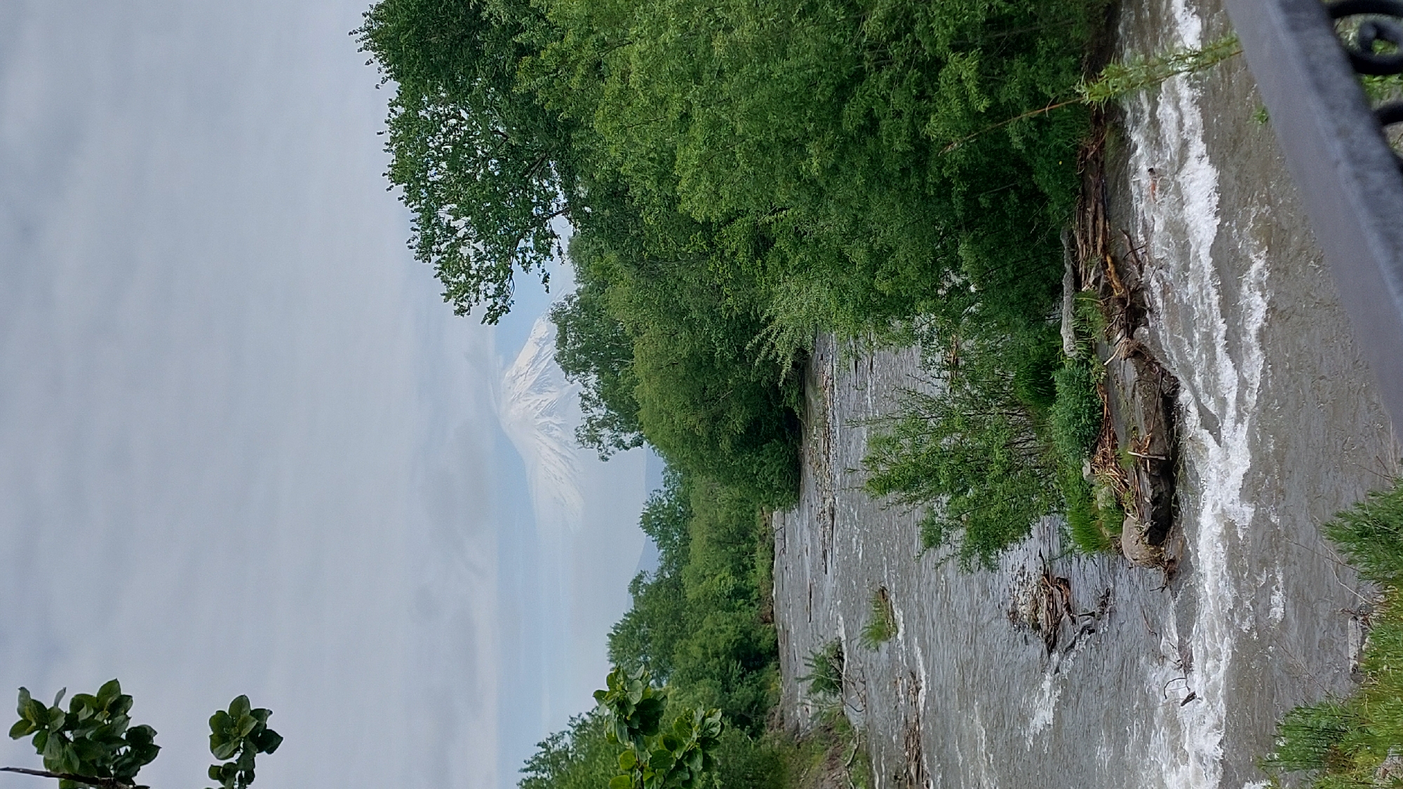 The image depicts a wide, fast-flowing river with choppy water and scattered debris, possibly logs and branches, caught in the current. Lush green trees line the banks of the river, forming a dense forest. In the background, a majestic, snow-capped mountain rises above the trees, partially obscured by clouds. The sky is overcast, casting a soft, diffused light over the landscape. The scene appears to be a natural, undeveloped area, possibly in a rural or wilderness setting. The specific location within Koryaki, Russia, is not identifiable from the image alone, but it suggests a region with volcanic activity due to the presence of the snow-capped mountain.