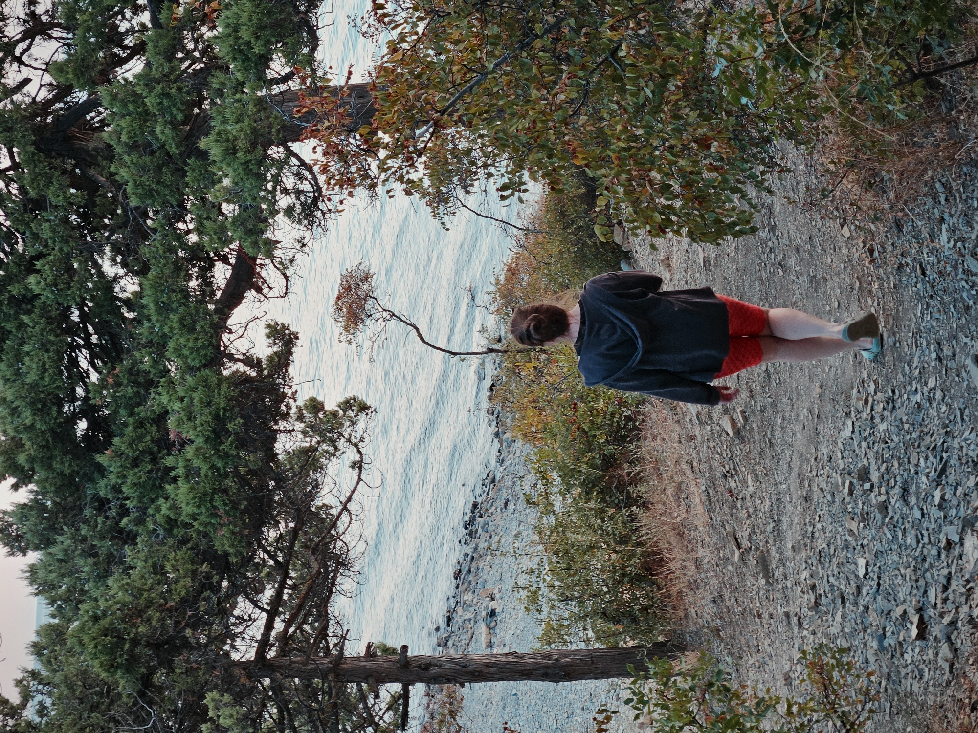 In Sukko, Russia, a person walks down a rocky path towards a body of water. The person is viewed from behind, wearing a dark hooded sweatshirt and red shorts. The path is lined with trees and shrubs, with a view of the water and the rocky shore. The environment suggests a natural, possibly coastal area.