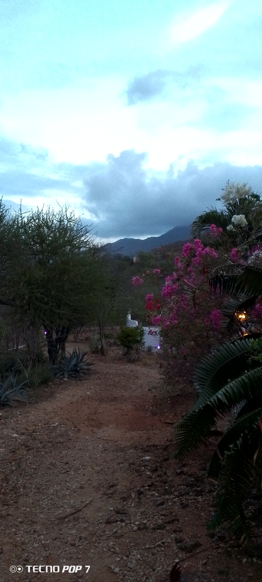 The image depicts an outdoor scene with a dirt path leading through vegetation towards a building in the distance. The sky is overcast with dramatic clouds, suggesting twilight or impending weather. In the foreground, to the left, is a dense, leafy tree with spiky plants below. To the right, vibrant pink and white flowers bloom on bushes, accompanied by palm fronds. In the mid-ground, a small white building with decorative elements and purple lights is visible amidst trees and arid landscape. Distant, dark mountains form the backdrop. The overall impression is a somewhat rustic, natural setting.