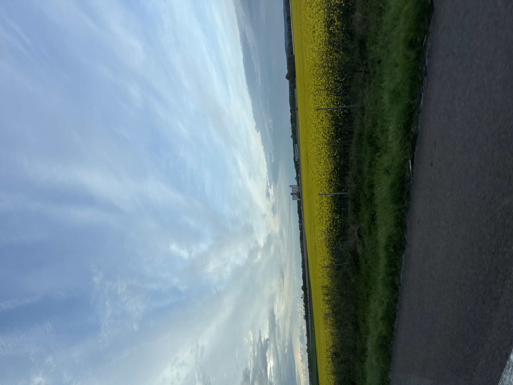 The image presents a landscape view in Val-de-Vesle, France. A bright, predominantly blue sky with wispy white clouds dominates the left half. To the right, a field of vibrant yellow flowers stretches into the distance, bordered by green grass. A gray asphalt road runs along the right edge of the image. A wire fence is seen separating the field of yellow flowers from the grass. The perspective is skewed, as if the image was taken from a slightly tilted angle. The scene is devoid of people.