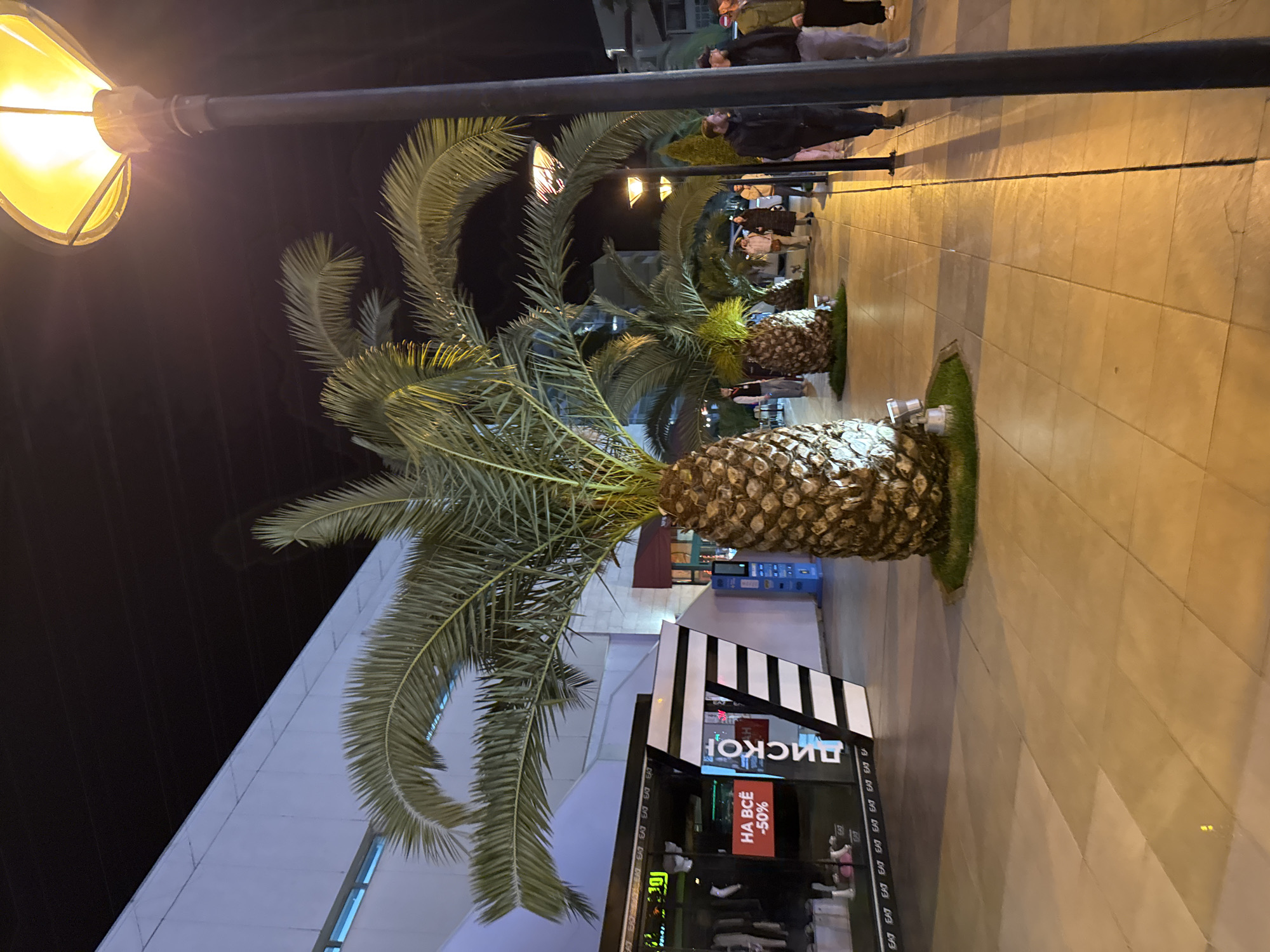 The photograph shows a nighttime scene in Sochi, Russia, featuring a palm-lined promenade or walkway. Along the path, evenly spaced small palm trees with spherical trunks are planted in small grassy areas. The walkway is paved with light-colored tiles. A modern building with a shopfront labeled "ДИСКО" (Disco) and a promotional sign reading "НА ВСЁ -50%" (Everything -50%) stands next to the walkway. People can be seen walking in the distance. A street lamp illuminates the scene, casting a yellow glow on the walkway and the surrounding area. The sky appears dark, suggesting it is after sunset.