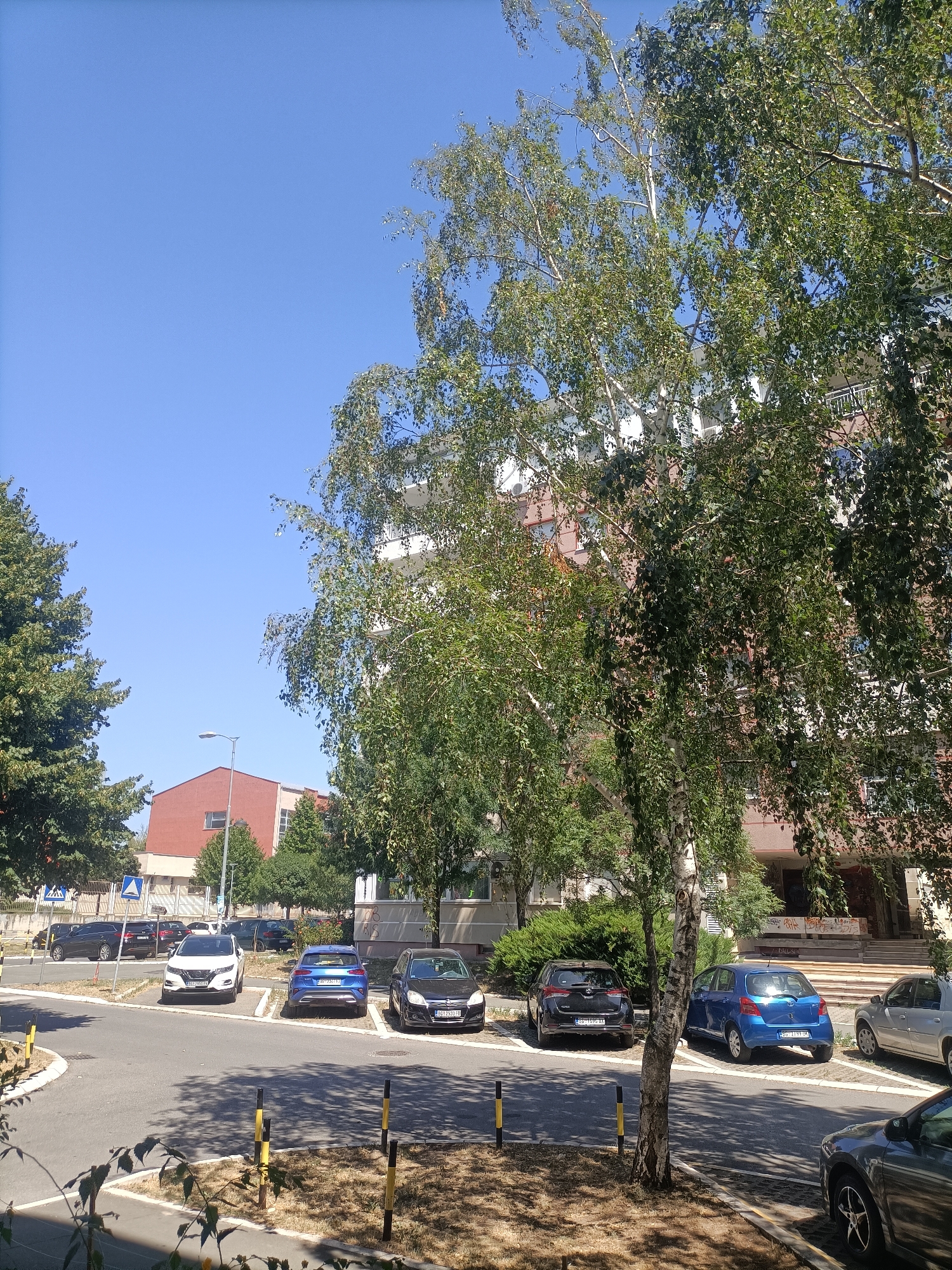 In a city street scene in Belgrade, Serbia, under a clear blue sky, several cars are parked on asphalt. A white SUV is parked in the foreground, facing left, next to a blue hatchback facing right. Behind them, a black sedan is parked, also facing right. Further back, more cars are visible, including a dark sedan and a lighter colored SUV. The street is lined with trees, some with sparse leaves and others with dense foliage. In the background, a multi-story building with a red facade and white window frames stands prominently. A lamppost is positioned near the building, and a pedestrian crossing sign is visible in the distance. The ground is a mix of asphalt and dry, patchy grass. The scene appears to be a residential or commercial area, typical of an urban environment.