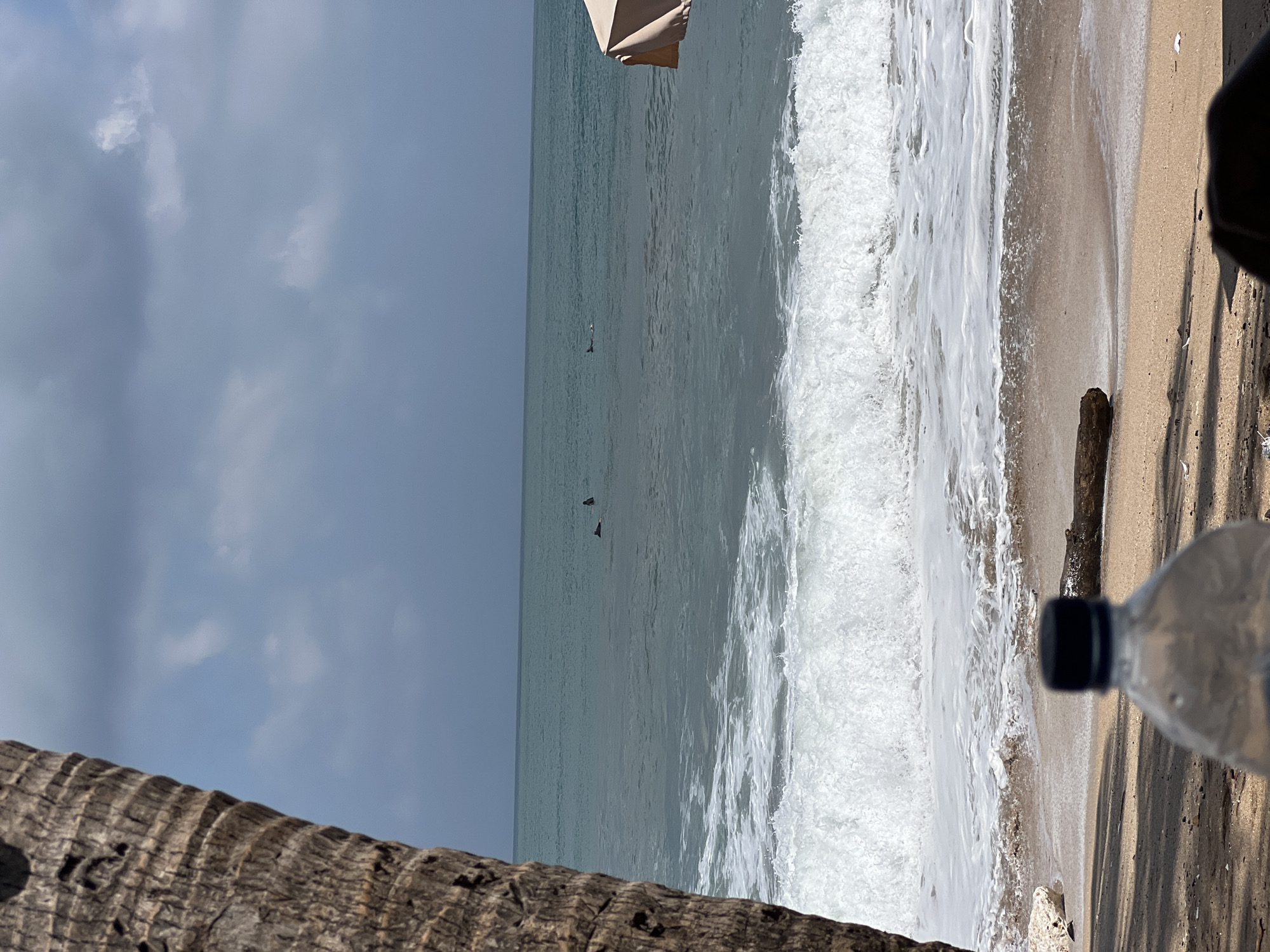 The image depicts a serene beach scene in Kuta, Indonesia, characterized by a moderate ocean swell and a partially cloudy sky. In the foreground, the trunk of a palm tree is visible on the left, with a clear plastic water bottle in focus, obscuring a portion of the sand and a piece of driftwood. The middle ground features a sandy beach with gentle waves rolling onto the shore, creating a white foamy surf. Several surfers can be observed in the distance, each on their own surfboard, waiting for or riding waves. The ocean water is a deep turquoise, gradually transitioning to a lighter hue towards the horizon. The background is dominated by a vast expanse of sky, with scattered white clouds against a muted blue backdrop. A portion of a beach umbrella, likely beige or light brown, is visible on the right edge of the frame. The overall atmosphere is tranquil, suggesting a typical day at a popular surf destination.