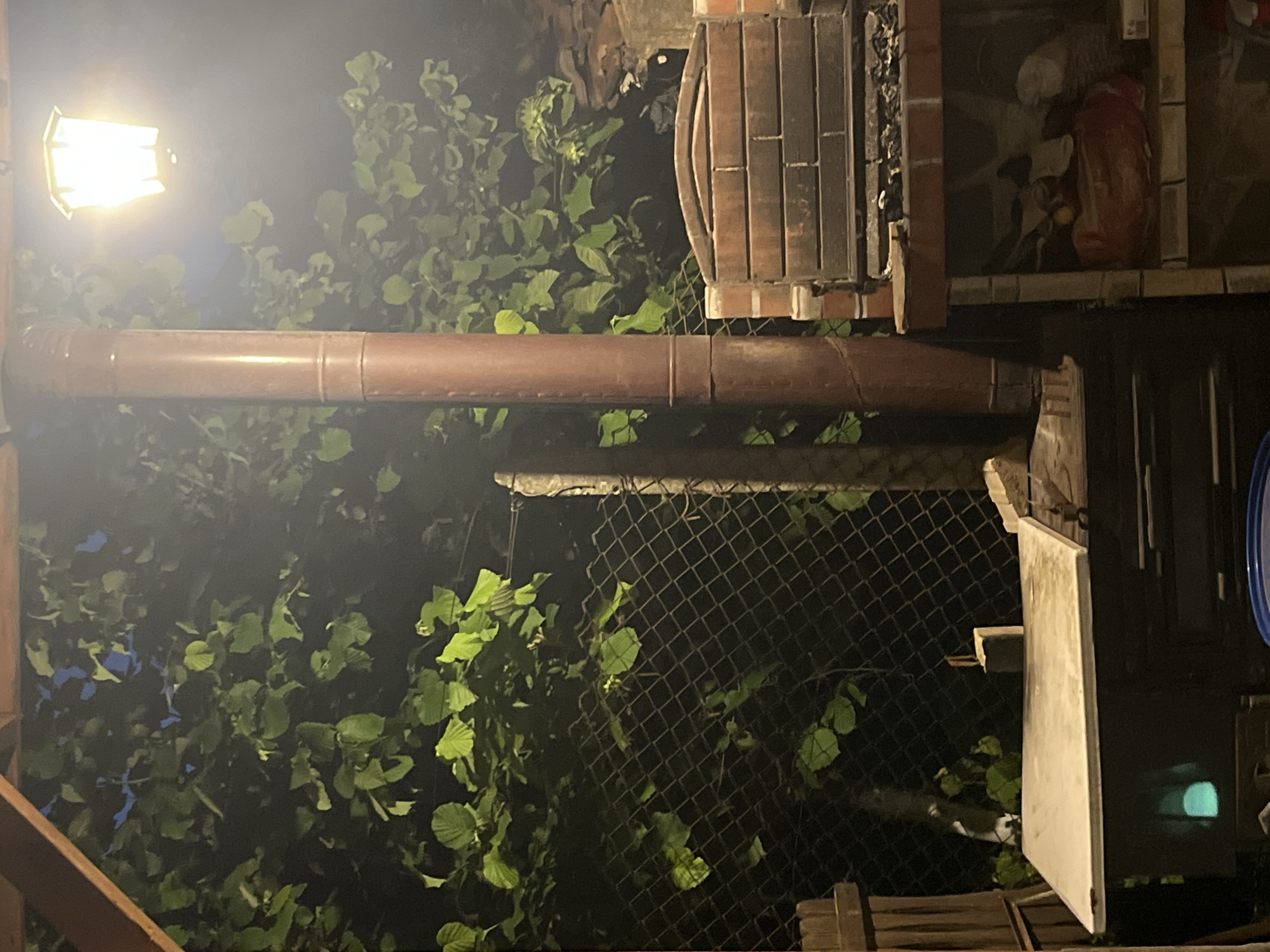 The image shows an outdoor scene at night in Varshilo, Bulgaria. A bright lamppost illuminates green foliage. A brown pipe runs horizontally across the frame. A brick structure is visible on the right, next to a dark opening. A chain-link fence is partially obscured by vegetation. A white door or panel is partially visible on the right side of the image.