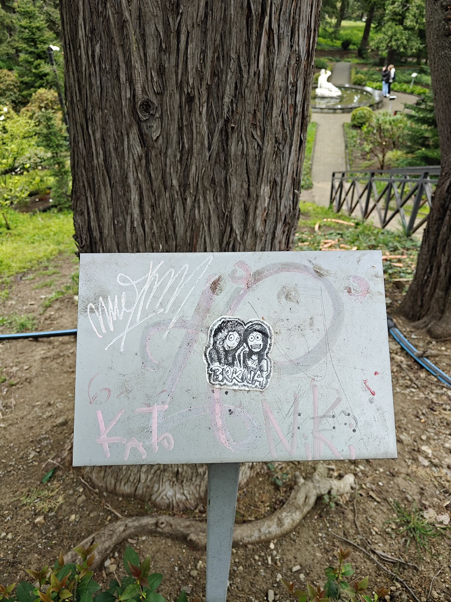 The image displays a scene within a park or botanical garden in Tbilisi, Georgia, with a focus on a weathered sign and a large tree trunk in the foreground. A robust tree, characterized by its deeply furrowed, dark grey bark, occupies the left side of the frame. In front of it stands a rectangular, light grey metal sign on a post, heavily covered in graffiti.
Prominently featured on the sign is a black and white sticker depicting two cartoonish, wide-eyed figures with wild, dark hair, positioned side-by-side and wearing exaggerated smiles or grimaces. Below these characters, the word "BAKA" is visible on the sticker. Surrounding the sticker, various scrawls and markings adorn the sign, including a stylized white signature or tag on the upper left and fragmented pink chalk-like letters, notably "K Th," towards the bottom left.
The background reveals a park setting with a winding paved pathway. In the midground, a circular pond features a white, reclining classical statue at its center. Two people are visible standing near the pond. A wooden fence or railing runs along a descending slope to the right. The ground in the immediate foreground consists of dry earth, interspersed with exposed tree roots and small green plants. A blue hose lies partially visible on the ground near the base of the sign and to the right. The scene is illuminated by bright daylight, suggesting clear weather, with abundant green foliage in the background indicating a lush environment.