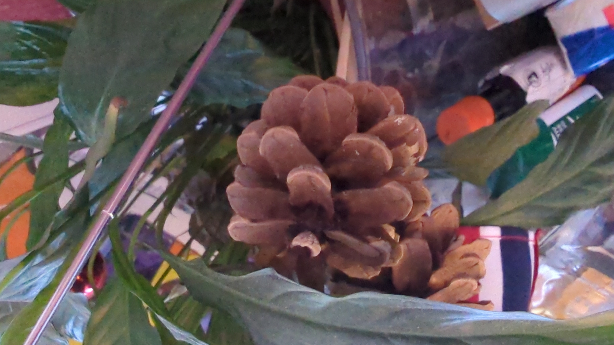 The image shows a close-up view of a pinecone nestled amongst the large, dark green leaves of a plant. A metallic rod runs diagonally across the upper portion of the frame, partially obscured by the leaves. The background is blurred and shows hints of color, including orange and purple. Below the pinecone, a striped ribbon with red, white, and blue bands is visible, along with a glint of reflective material. Further down, a dark bottle with an orange cap and other objects, including what appears to be packaging with green and white text, are present. The scene appears to be an indoor arrangement, potentially a decorative display. There is no information in the image to indicate a specific location in Kløfta, Norway.