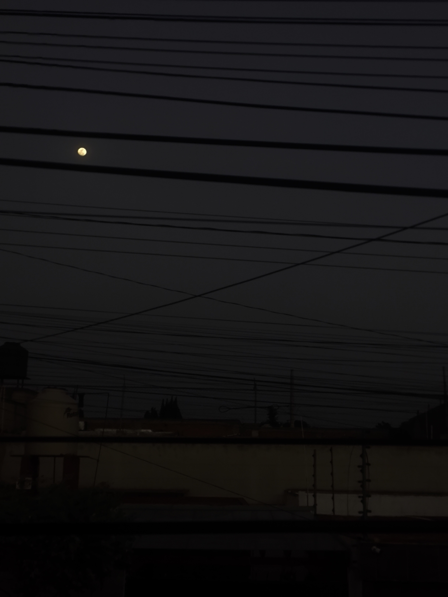 A photograph taken at dusk in Puebla, Mexico depicts a cityscape dominated by overhead electrical lines. A nearly full moon is visible through the web of wires. In the foreground are the outlines of buildings, including a water tank and rooftops. Vegetation is visible at the base of the frame, partially obscuring the view. The scene is dimly lit, with limited details discernible in the shadows.
