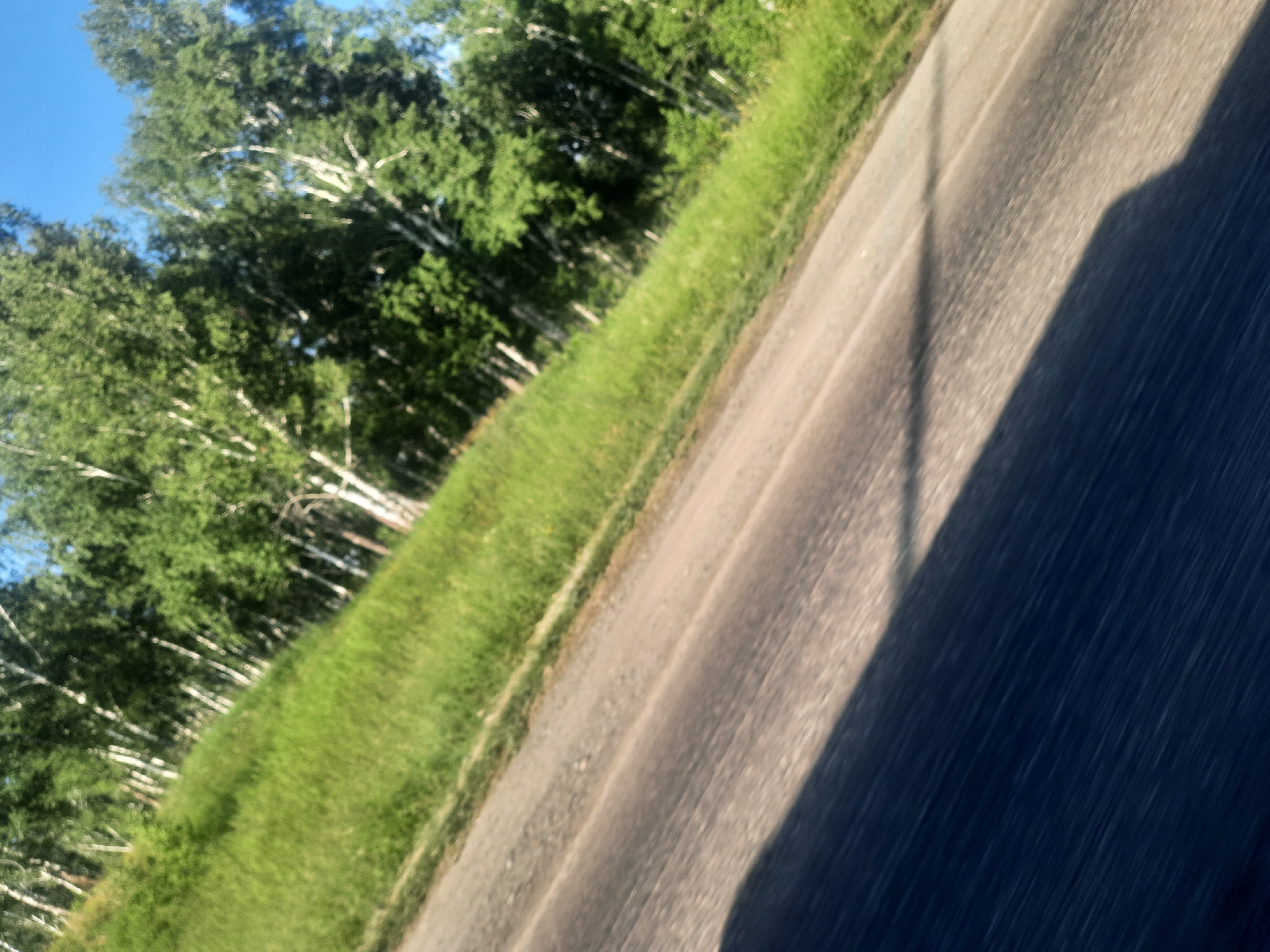 The image depicts a roadside scene in Баюновские Ключи, Russia. A paved road occupies the right side of the frame, casting a long shadow from an unseen object, likely a vehicle. To the left of the road, a lush, green grassy verge runs parallel, with a dense line of deciduous trees, characterized by their white bark and green foliage, bordering it. The sky above is a clear, bright blue, suggesting fair weather and daytime, likely morning or afternoon given the light and shadow. The overall impression is one of a natural, rural landscape. The image appears to have been taken from a moving vehicle, as indicated by the slight blur and the diagonal perspective. No people or specific objects are clearly identifiable, but the setting strongly suggests a drive through the Russian countryside. The time of day is likely daytime, and the weather appears sunny and clear.