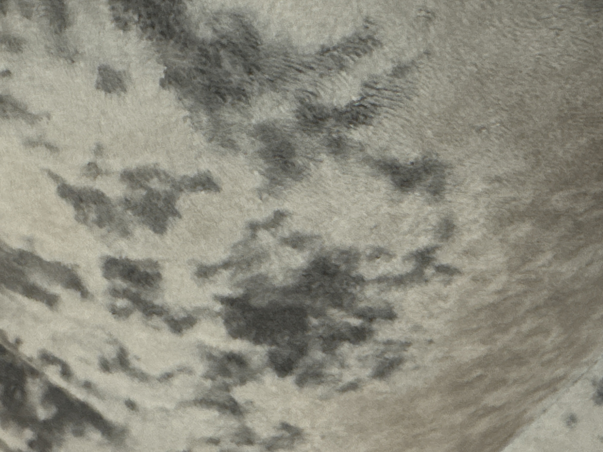 The image displays a close-up, abstract view of a textured surface, predominantly light grey with irregular splotches of dark grey. The texture appears to be fur or a similar material, with visible fibers and slight variations in light and shadow that create a sense of depth. There are no discernible objects, people, or actions. The overall impression is that of a magnified detail of animal pelage or a fabric with a mottled pattern. There is no identifiable information within the image to connect it to the city of Omsk, Russia, or any specific location.