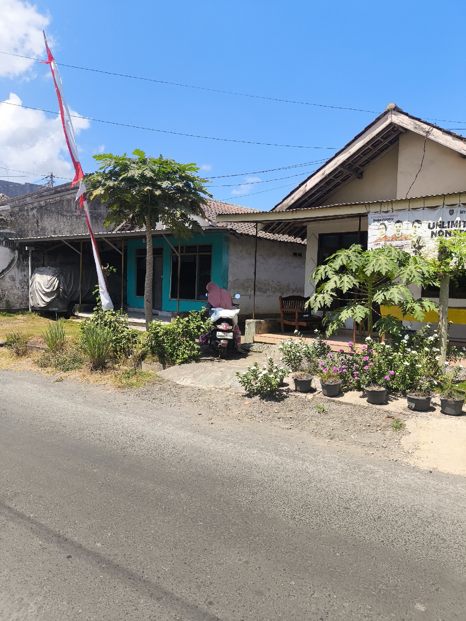 The image depicts a scene on a street in Kebonsari, Indonesia, on a sunny day with a clear blue sky. In the foreground, a gray asphalt road runs diagonally across the frame. To the right of the road, a patch of dry dirt and gravel gives way to a row of potted plants. Among these plants are several small trees, one of which appears to be a papaya tree with large, green leaves. The plants are a mix of green foliage and small pink and white flowers.
Behind the plants, a light-colored building with a sloped, tiled roof is visible. A banner with multiple faces and text is affixed to the front of this building. To the left of this building, a structure with a lighter-colored roof and a pale gray wall stands. A vehicle covered with a gray tarp is parked under the awning of this structure.
A red, white, and blue Indonesian flag is draped vertically from a pole on the left side of the image, extending upwards into the sky. In front of the light blue colored house, a woman wearing a pink headscarf is seated on a white motorbike. The motorbike has a license plate that reads "N 3882 GI". A tree with green leaves is planted in front of the blue house. A wooden chair and table are visible under the porch of the light-colored building. The overall environment appears to be a residential area.