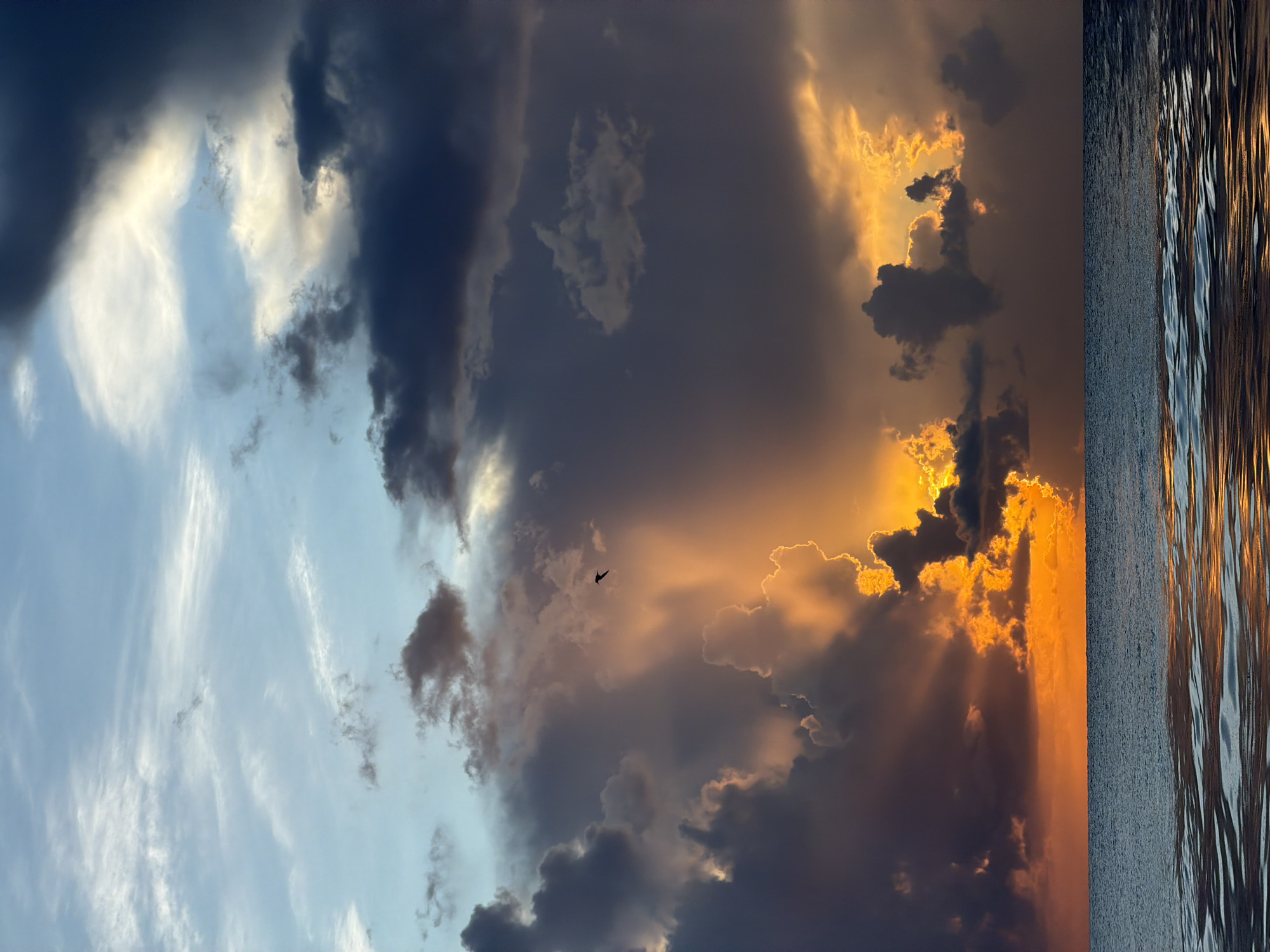 The image depicts a dramatic sunset over the ocean, likely viewed from Miami Beach, Florida, USA. The sky is filled with a mix of dark, stormy clouds and brilliant shafts of orange and yellow light breaking through. A lone bird is silhouetted against the illuminated clouds in the upper center of the frame. The ocean in the foreground is calm, with ripples reflecting the vibrant colors of the sunset. There are no people or man-made structures visible in the scene, creating a focus on the natural elements of the sky and sea.