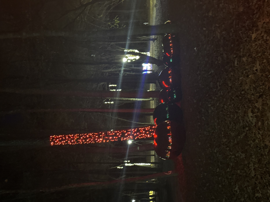 A nighttime scene displays a path adorned with Christmas lights. Red lights stretch horizontally, creating a luminous lane between trees. A vertical string of dark, spherical objects, possibly ornaments or lanterns, reflects colorful lights, adding depth and vibrancy to the composition. The surrounding environment is dark, with a visible leaf-covered ground, emphasizing the brightness of the decorations and capturing a festive ambiance.