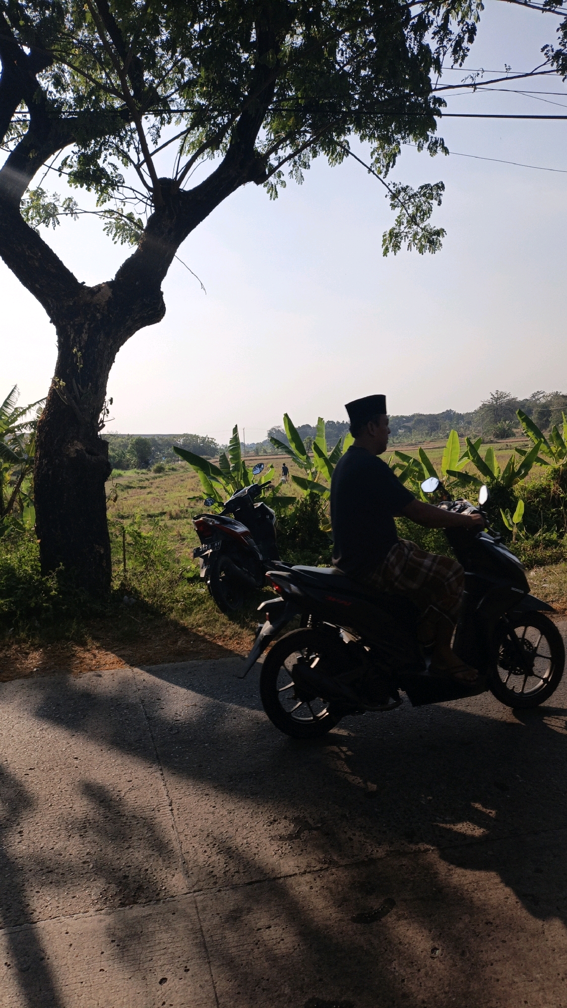 The image depicts a man wearing a black peci cap and a plaid sarong riding a black motorcycle on a paved road. He is silhouetted against a bright sky, with the sun casting long shadows from a large tree on the left side of the frame. The background features a rural landscape with fields, banana trees, and other vegetation. Two other motorcycles are parked to the left of the rider. The scene appears to be in a rural area of Jepara, Indonesia, given the presence of banana trees and the common attire of the rider. The time of day is likely late afternoon or early morning, suggested by the low angle of the sun and the long shadows.