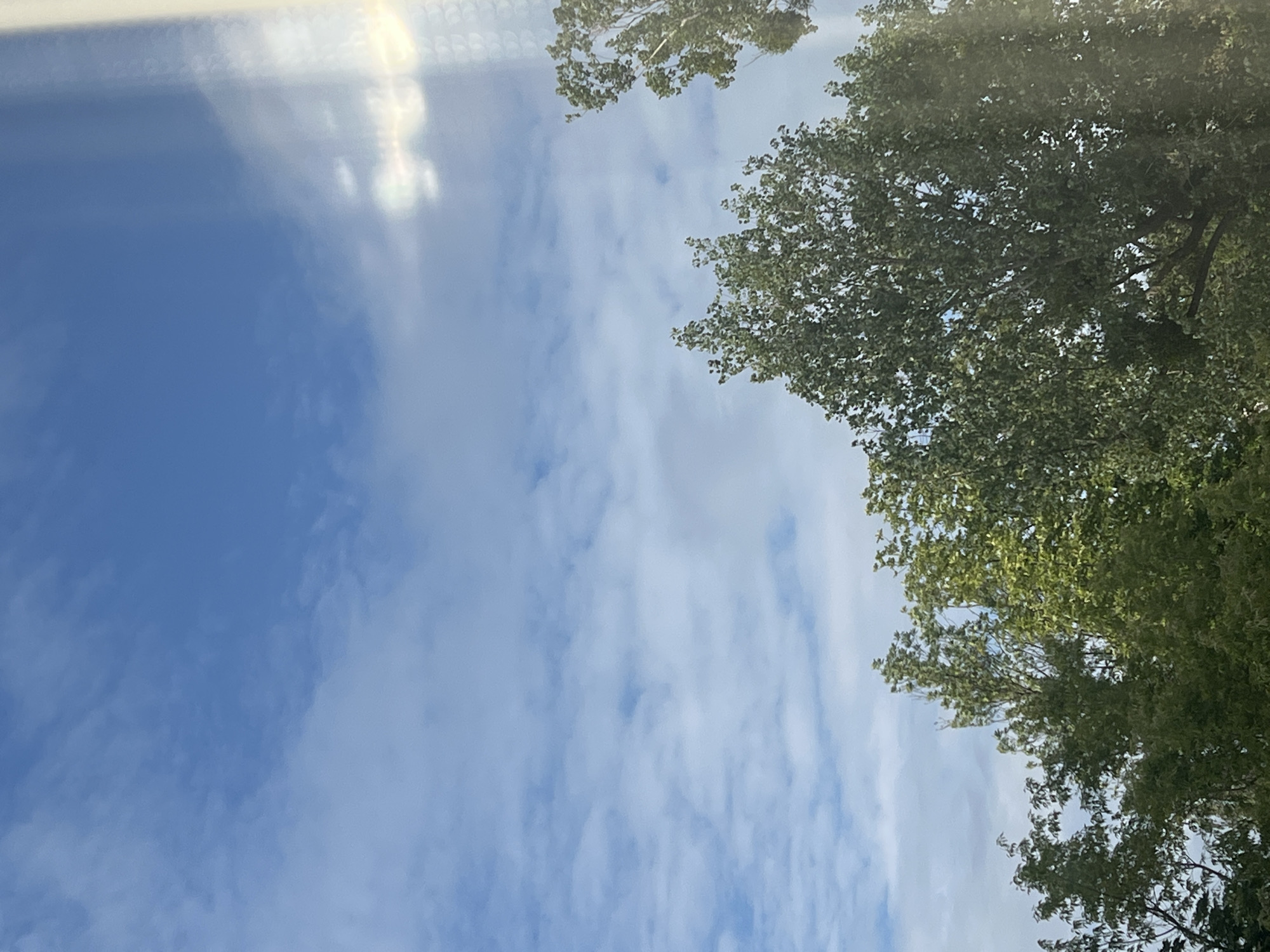 The image captures a bright, partly cloudy sky with a few wispy clouds against a deep blue backdrop. The sun is visible, casting a bright glare on the right side of the frame, with some iridescent halo effects, suggesting it might be viewed through glass or a similar transparent medium. Below the sky, the tops of several lush green trees are visible, their dense foliage filling the lower portion of the image. The trees appear to be of a substantial size, with thick branches and numerous leaves. The scene is likely an outdoor environment, potentially a park or a residential area with mature trees. Without further context or identifiable landmarks, pinpointing a specific location within Warsaw, Poland, is not possible from this image alone.