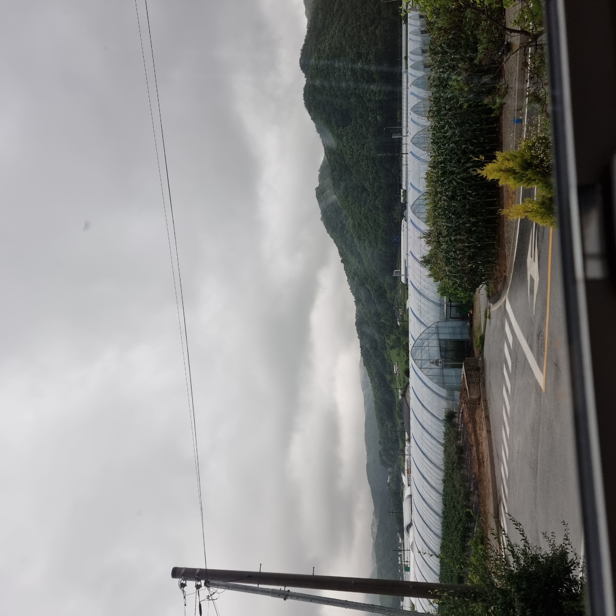 The image shows a cloudy, overcast day in Dunnae-myeon, South Korea. In the foreground, a wet, asphalt road with white crosswalk markings and a yellow line is visible. To the left, a wooden utility pole with wires is present. Behind the road, a row of arched, white greenhouses extends across the mid-ground. In front of some of these greenhouses, rows of green crops, possibly corn, are planted. Beyond the greenhouses, a dense, tree-covered mountain range with misty peaks fills the background. Several small buildings and other structures are scattered throughout the landscape, some appearing to be residential. The overall scene depicts a rural agricultural area.
