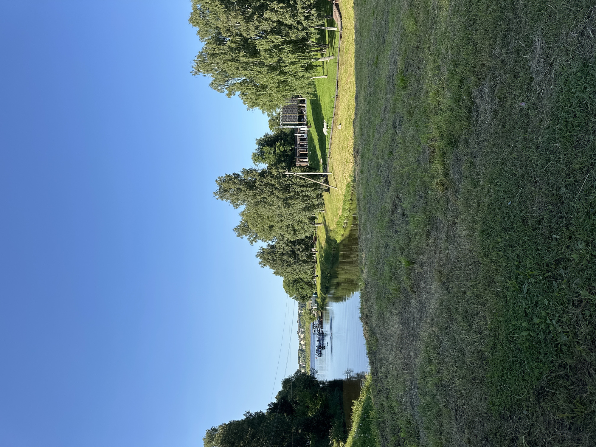 The image shows a bright, sunny day with a clear blue sky above a tranquil river scene. The river is calm and reflects the surrounding greenery and a few boats docked on its surface. On the left bank of the river, dense trees create a natural border, while the right bank features a grassy slope dotted with trees. In the background, a cluster of buildings and trees can be seen, suggesting a populated area or a park. Further back, a wide expanse of green grass covers the foreground, with some patches appearing dry and straw-like. The overall impression is one of a peaceful, natural landscape on the outskirts of a city. Given the prompt's reference to Selivanovo, Russia, this scene is likely depicting a recreational area along a river within or near the city.
