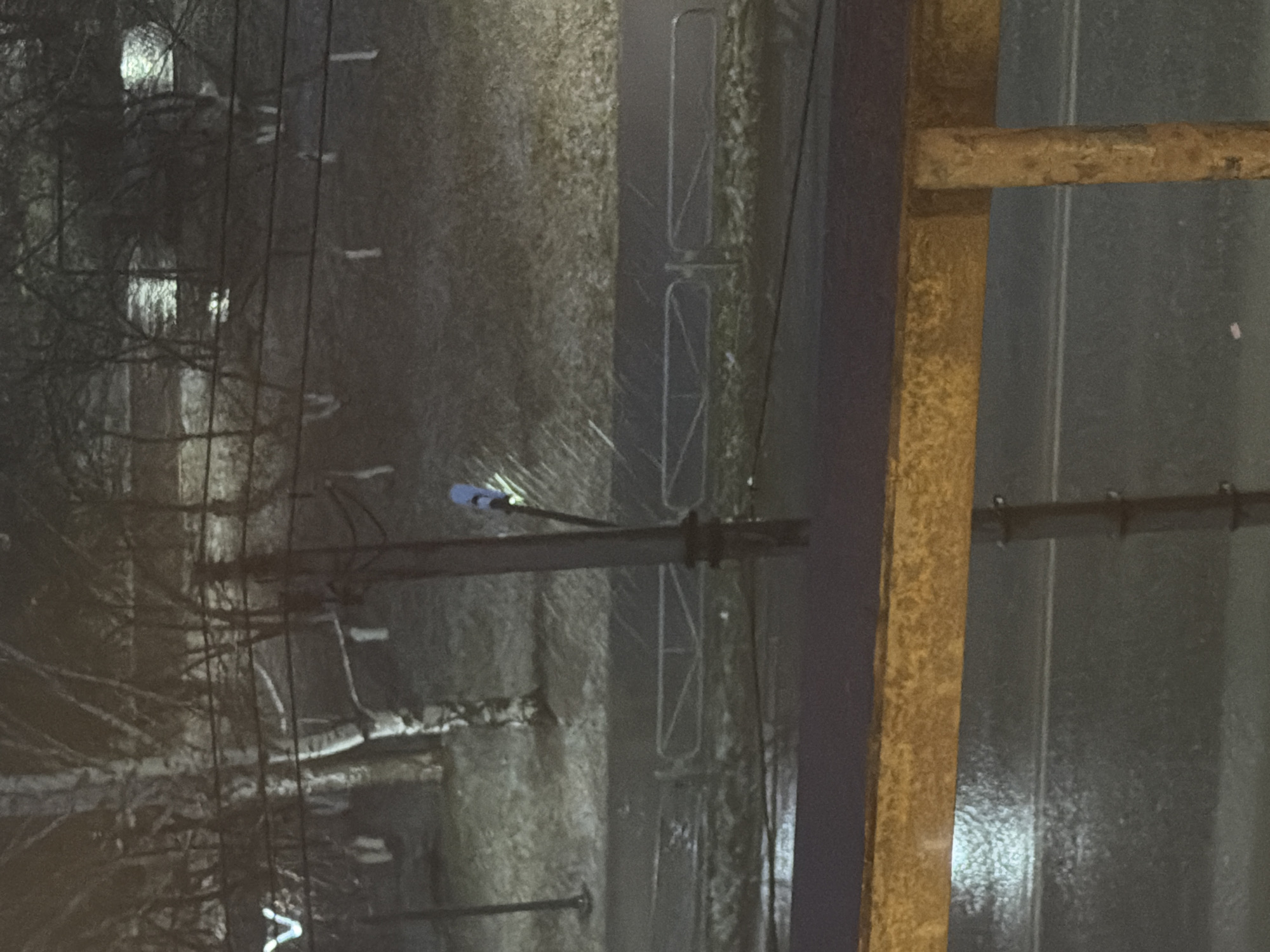 The image, taken at night in Chaikovsky, Russia, depicts a somber outdoor scene, likely during cold weather, possibly winter. The overall impression is dark and muted, illuminated sparsely by unseen light sources creating reflections.
In the foreground, on the right side, a substantial, weathered metal structure is visible, characterized by its rusty, textured surface. It appears to be composed of a vertical beam and a horizontal crossbar. Behind this structure, a dark, corrugated or textured surface suggests a wall or another part of an industrial element.
Stretching across the midground is a wide, dark band resembling a road or a paved pathway, which appears wet or icy, reflecting light faintly. To the left of this path, several grey, metallic fence-like structures with geometric patterns are lined up, possibly serving as barriers. A dark, slender pole stands vertically near the center, holding wires or cables. Near the top of this pole, a small, distinct blue object is attached, possibly a sensor or a marker.
Further into the background, on the left side of the scene, a dense cluster of bare tree branches creates a complex, dark silhouette against a slightly lighter, reflective background. Scattered bright reflections suggest distant light sources or windows within this area. The ground around the pathway and under the trees appears rough and possibly covered in frozen vegetation or dirt.
No people are visible, and there is no discernible activity taking place. The scene conveys a sense of stillness and cold. There is no visible text in the image.