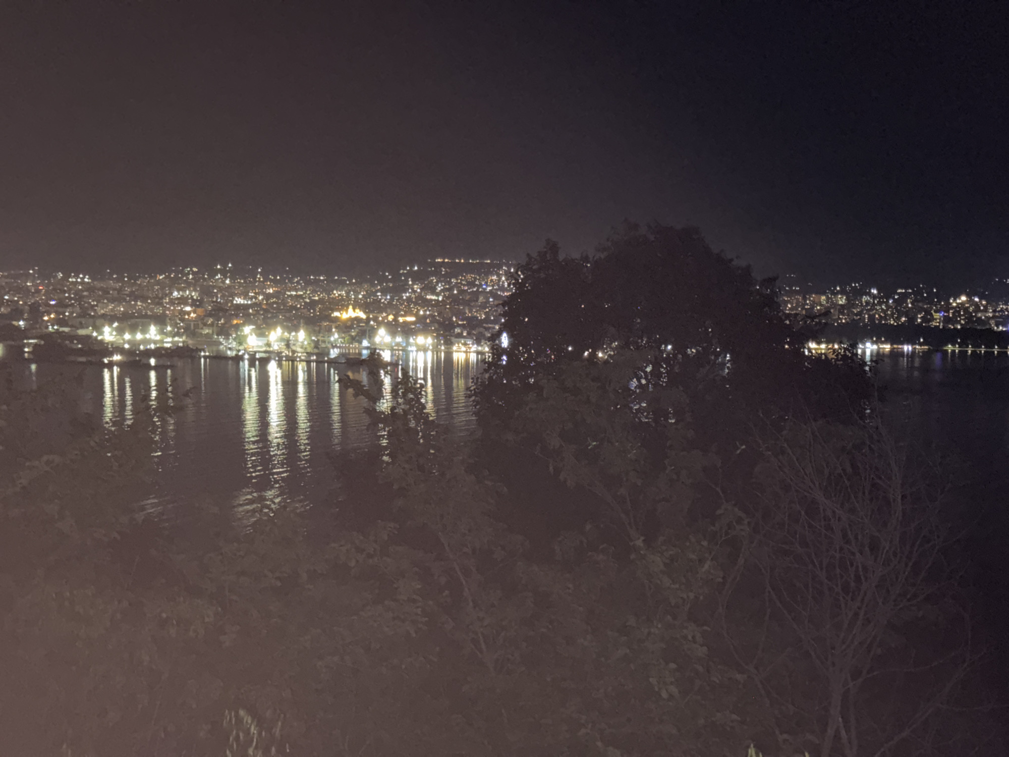 The image depicts a nighttime view of the city of Varna, Bulgaria, as seen from a vantage point overlooking the sea. The city lights form a vibrant, sprawling panorama stretching across the horizon, reflected in the dark, calm waters of the bay. In the foreground, silhouetted trees and foliage obscure the lower portion of the scene, suggesting the photograph was taken from a park or elevated natural area. The lights in the city are numerous and varied, indicating a densely populated urban area with a mix of residential and commercial buildings. The water is smooth, with elongated streaks of light reflecting from the city, suggesting a slight ripple or movement on the surface. The overall atmosphere is serene and expansive, capturing the urban glow against the dark night sky.