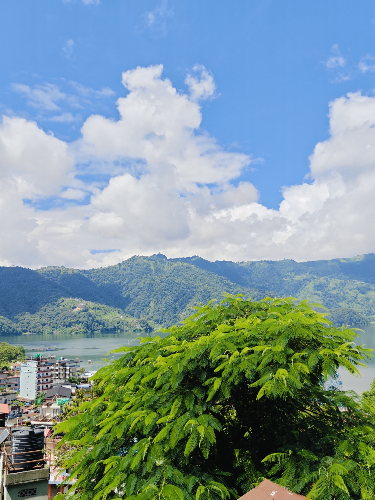 The image captures a scenic view of Pokhara, Nepal, dominated by lush green mountains in the background, a serene lake in the middle ground, and a cluster of buildings on the left. In the foreground, a vibrant green tree with delicate leaves partially obscures the view. The sky is a bright blue, adorned with fluffy white clouds, suggesting a clear day. The buildings in the mid-ground appear to be a mix of hotels and residential structures, with a prominent white multi-story building standing out. The lake reflects the surrounding landscape and the sky. The overall impression is one of natural beauty combined with a developing urban environment.
