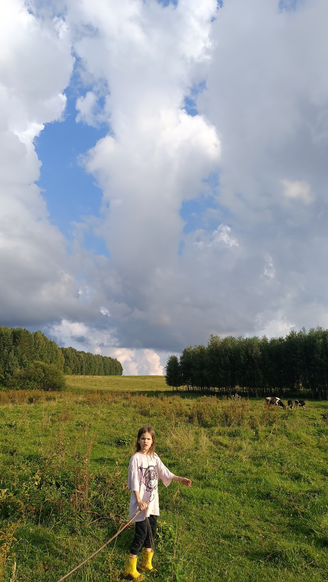 A young girl with brown hair is standing in a grassy field, holding a stick. She is wearing a white t-shirt with a graphic on it and yellow boots. The field is on a slight incline, with trees lining the horizon. In the distance, several cows are grazing. The sky above is partly cloudy with blue patches. The location is an outdoor rural setting, possibly in Karsha, Russia.