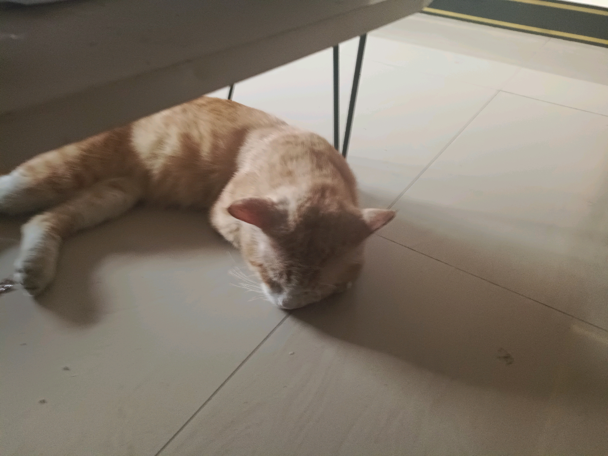 An orange tabby cat is lying on a light-colored tiled floor. The cat is curled up with its head down, appearing to be asleep. The floor is made of large, rectangular tiles with thin grout lines. A portion of a table or furniture is visible in the upper left corner, casting a shadow on the floor and the cat. The background is mostly the tiled floor, with some dark elements visible near the top right, possibly a wall or another piece of furniture. The overall lighting suggests it is daytime, with shadows indicating a light source from the upper left. The scene is indoors.