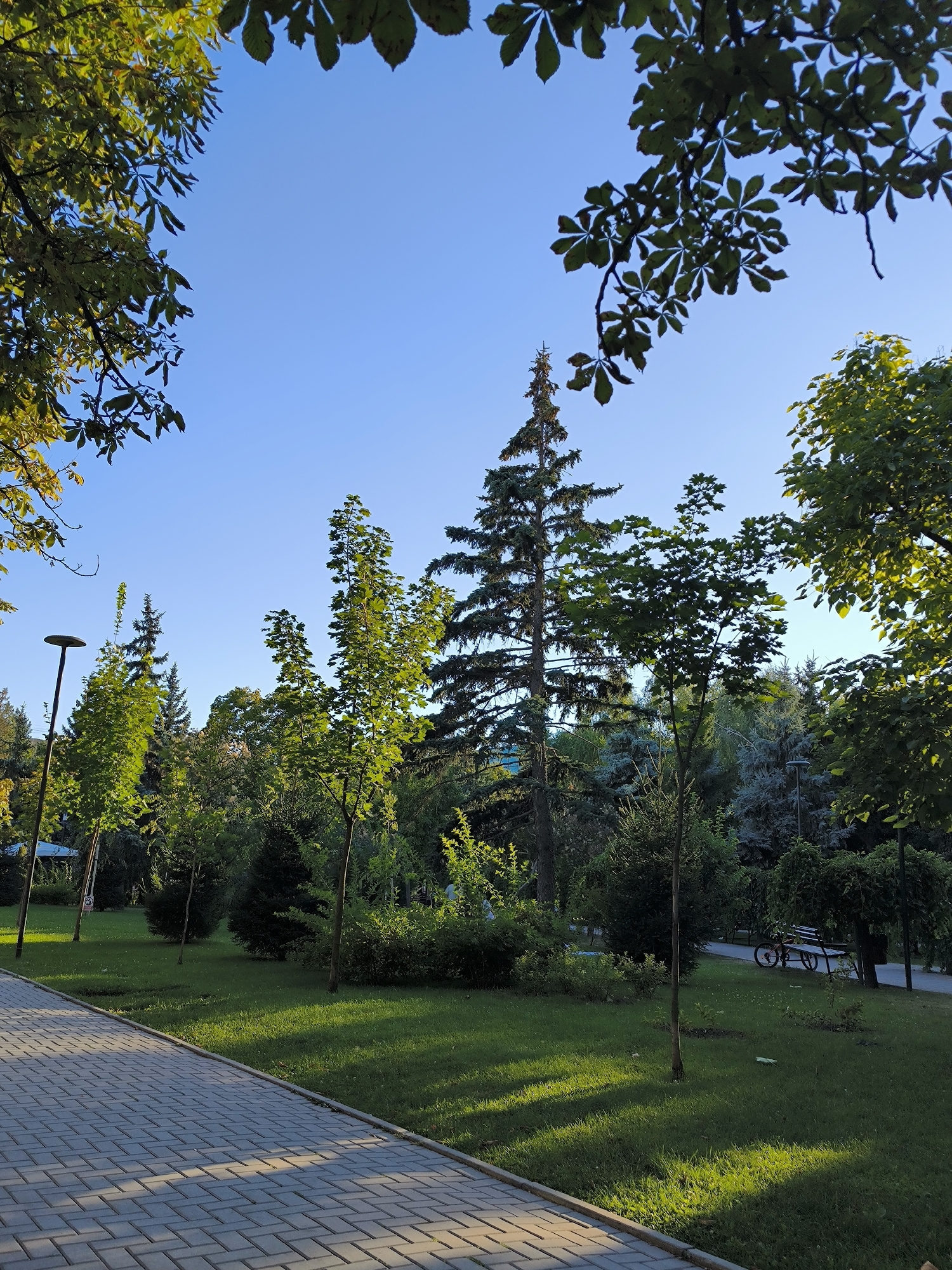 The image captures a park scene in Chișinău, Moldova, on a clear day with a bright blue sky. A paved walkway, composed of grey interlocking bricks, runs diagonally across the foreground, casting long shadows from the surrounding trees. Adjacent to the walkway is a meticulously maintained lawn with vibrant green grass, also dappled with sunlight and shadows.
Dominating the mid-ground are various trees, including a tall, slender evergreen pine tree and several deciduous trees with bright green foliage. Some of these trees are young saplings, while others are mature. In the background, a dense cluster of trees creates a lush, green backdrop.
Further into the park, a park bench and a bicycle are visible, suggesting recreational use of the space. A lamppost stands near the walkway on the left side of the frame. The overall impression is one of a peaceful and well-kept urban green space, likely a popular spot for residents to relax and enjoy nature. The presence of trees with varying heights and species indicates a diverse and established park environment.