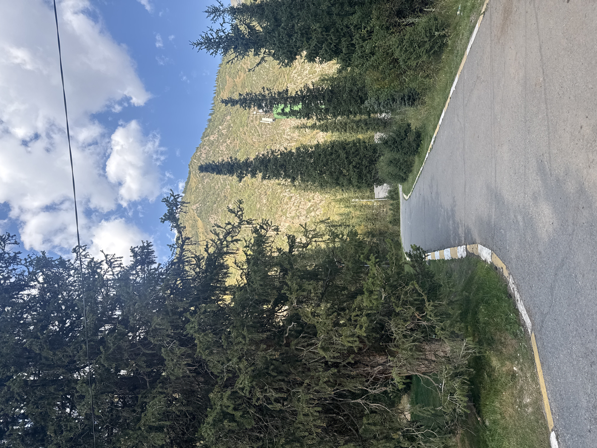 The image depicts a paved road winding through a mountainous, forested area. The road is marked with yellow and white lines along its edge. Towering pine trees dominate the foreground, with their branches creating a dense canopy. In the mid-ground, a collection of tall, slender pine trees stand out against a backdrop of a sun-drenched, rocky mountainside covered in sparse vegetation. A tall, green cylindrical structure with antennas is visible partway up the mountainside. The sky above is a clear blue, dotted with fluffy white clouds. The overall impression is one of a natural, serene landscape with evidence of human infrastructure in the form of the road and the structure on the mountain. There are no people or animals visible in the frame. The location is identified as being in the city of Unknown, Kyrgyzstan.