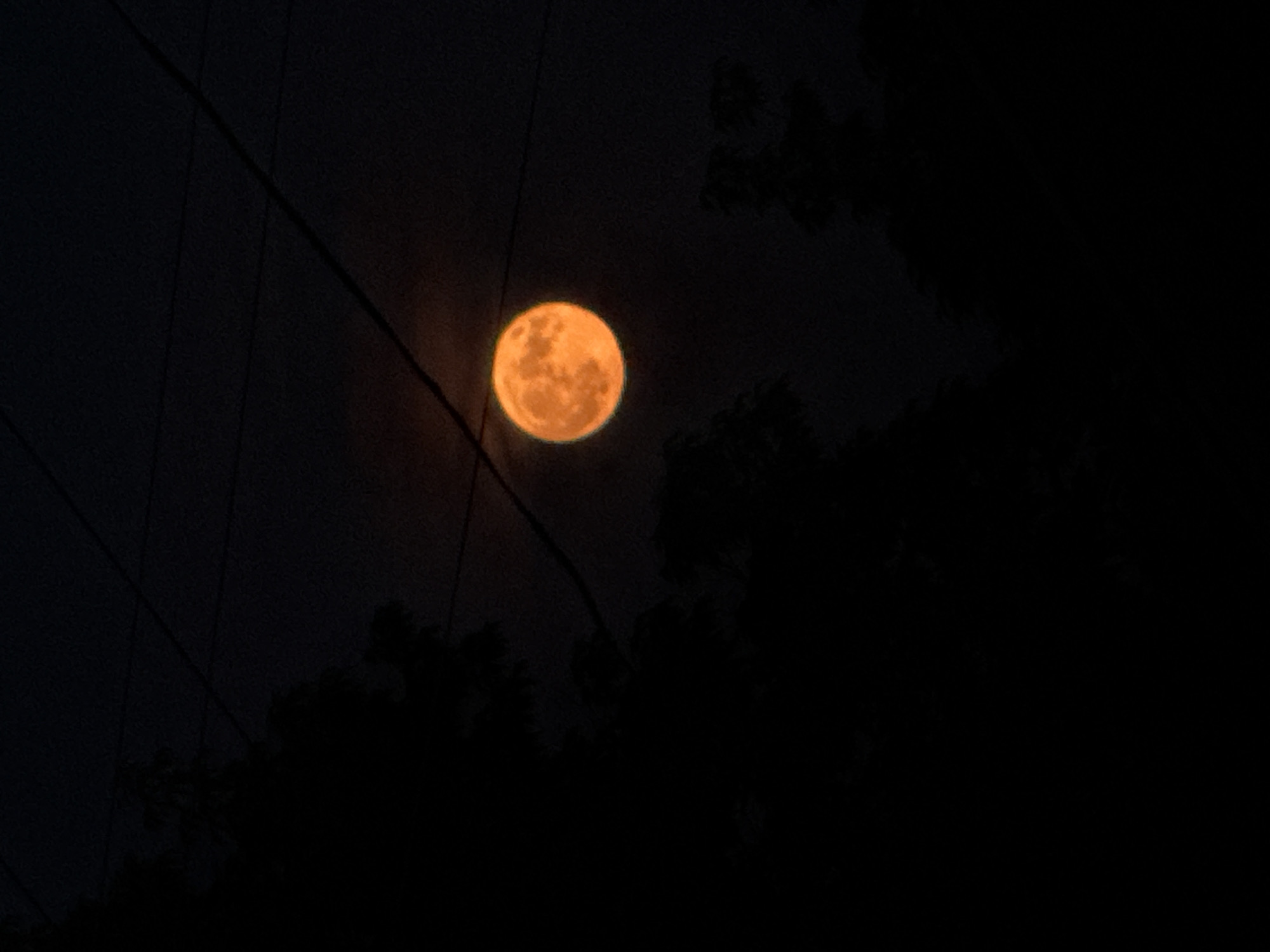 An orange full moon is visible in a dark sky with a few power lines crossing it. Silhouetted trees are in the foreground and on the sides of the image, obscuring much of the landscape. The overall impression is of a moonlit night in a natural or semi-natural setting.