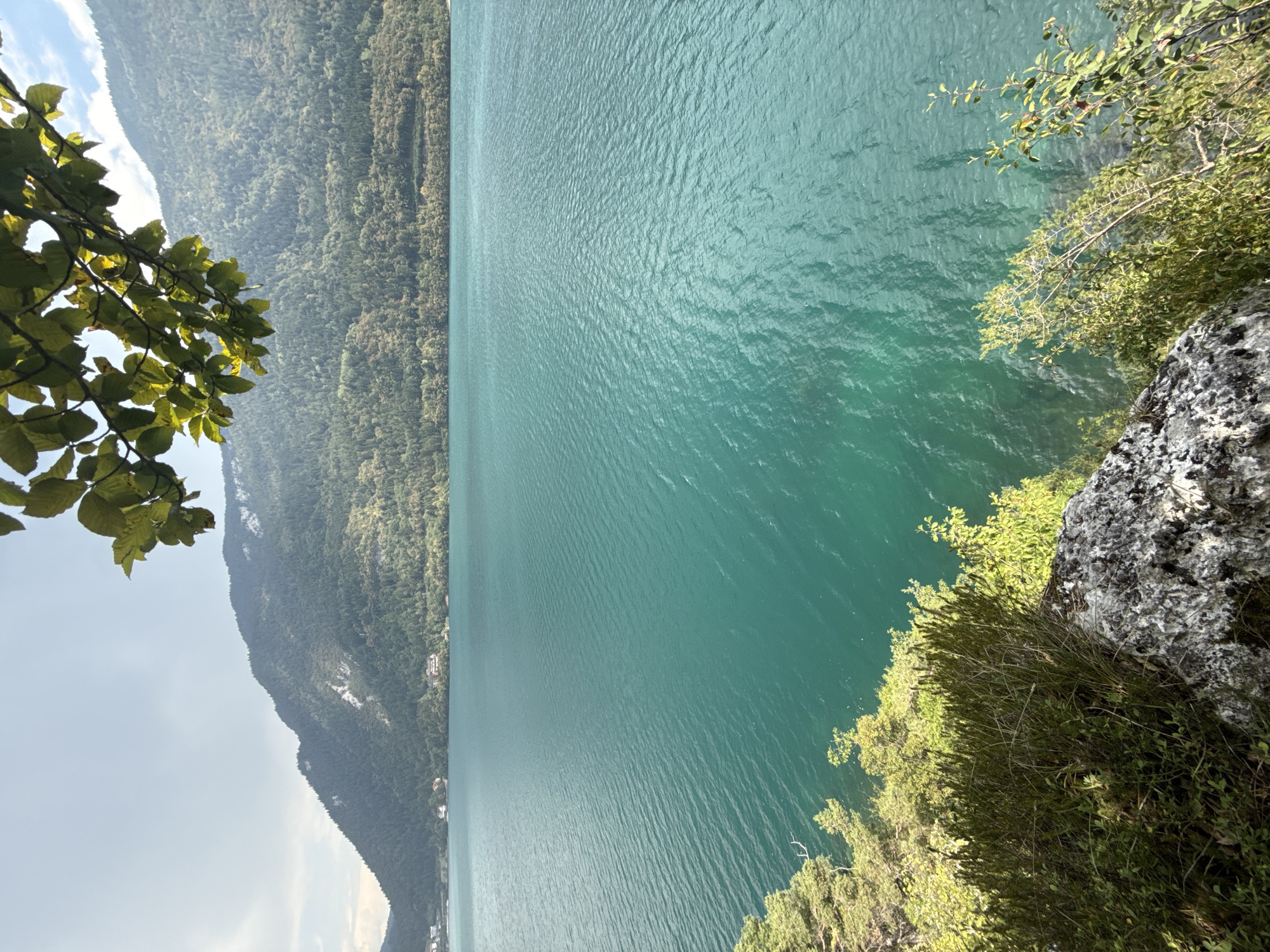 The image depicts a wide, tranquil lake with vibrant turquoise waters. The lake is surrounded by lush green mountains densely covered with trees. In the foreground, a rocky cliff face is visible, adorned with green foliage and small bushes. Some of the foliage, along with tree branches and leaves, hangs from the top of the frame, suggesting the viewpoint is from an elevated position overlooking the lake and mountains. The sky is a pale blue with some overcast clouds. The scene captures a natural, serene landscape. The location is identified as Unknown, Italy. There are no people or any discernible actions taking place in the image.