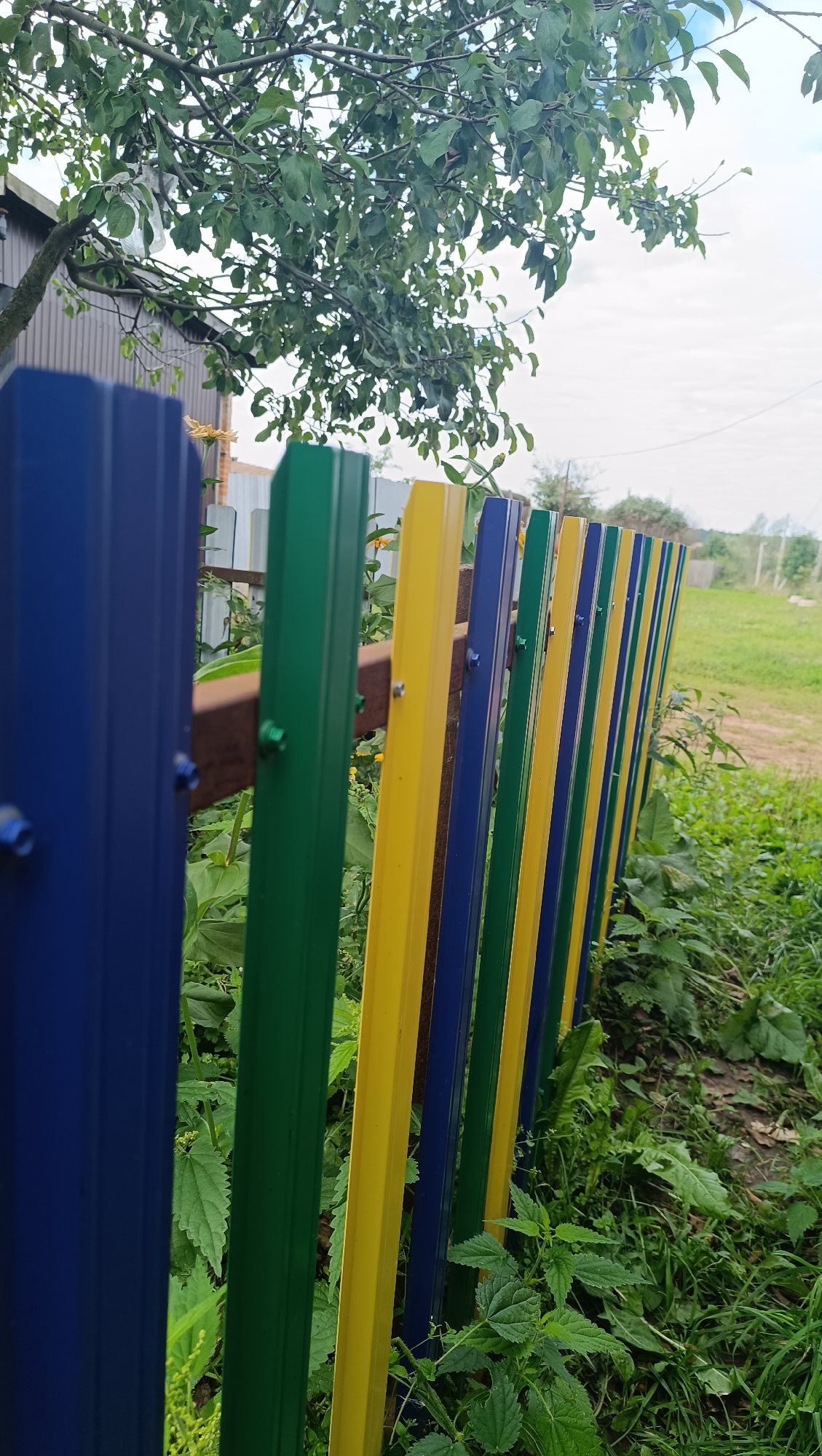 A colorful metal fence with vertical sections of blue, green, and yellow runs diagonally across the foreground and recedes into the distance. The fence is supported by horizontal wooden beams. Lush green vegetation, including nettles and other leafy plants, grows on both sides of the fence and in the background. A mature tree with green leaves shades the left side of the image, casting shadows on a brown building. The sky above is overcast with some blue patches visible. In the distance, a dirt road winds through a grassy field, with trees and a building visible on the horizon. The scene appears to be a rural or suburban backyard in Karsha, Russia.